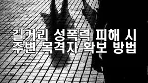 길거리 성폭력 피해 시 주변 목격자 확보 방법