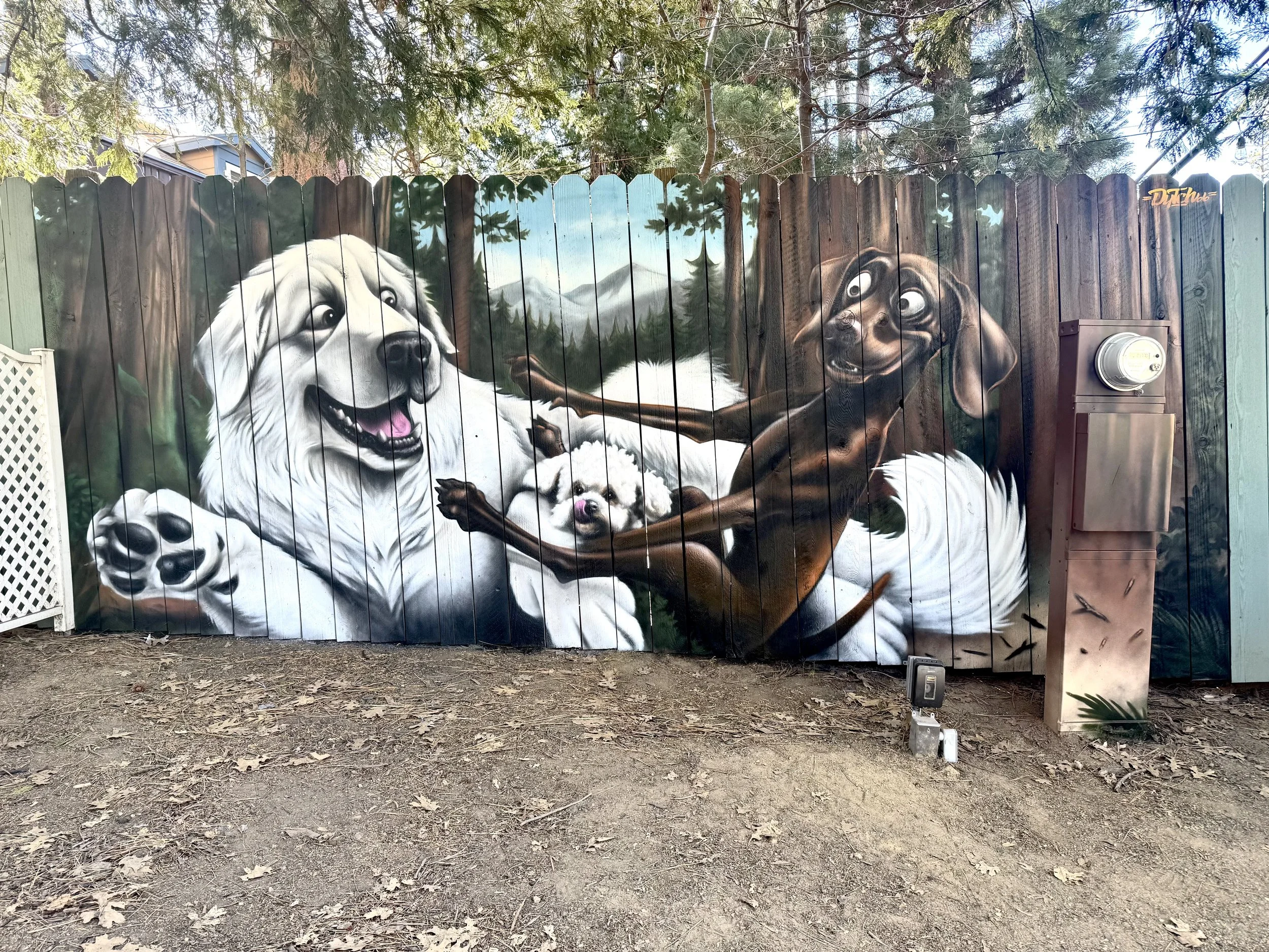 playful, animated approach to your Pet