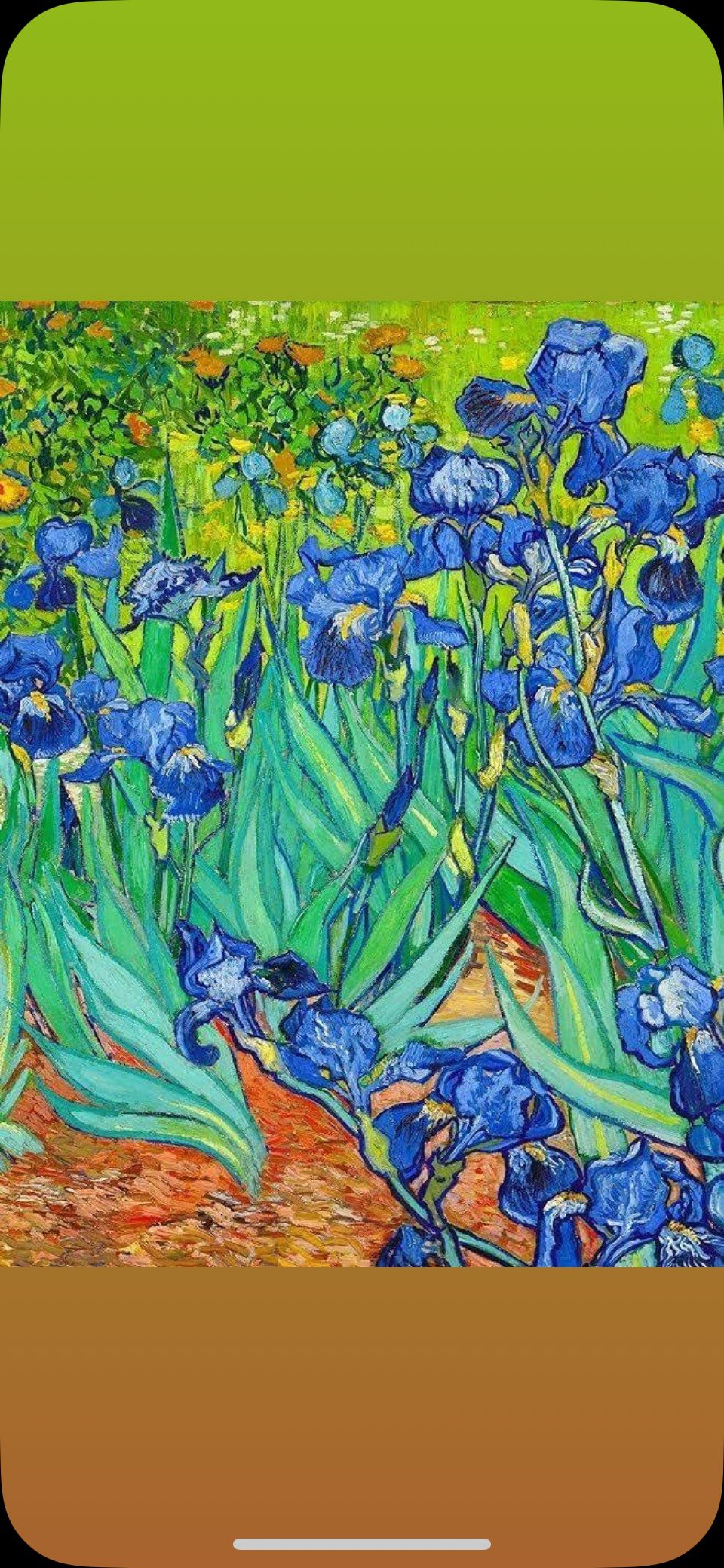 Field Of Iris's, Van Gogh(FRAMED)