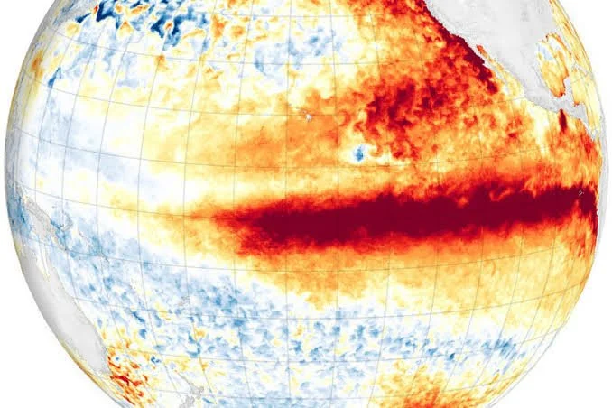 How El Niño Could Affect Western Washington Homes: What Homeowners Should Know