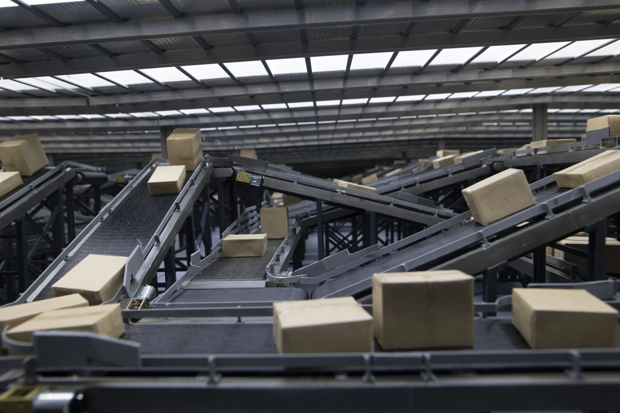 Eternal Return 2023-1.jpg