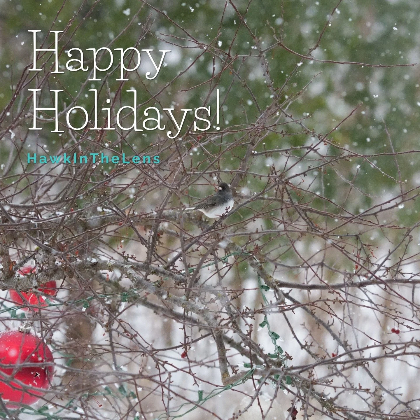 Hope you are all having a great holiday period! Just wanted to wish you happy holidays.

I've spent the holiday period back where I grew up in Wisconsin. It's been super nice to spend time with my family while recharging before the new year. Plus, I 