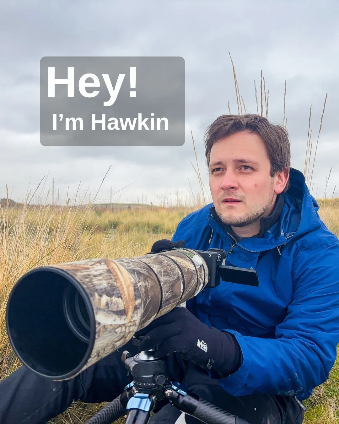New year, new introduction post &mdash; if you haven&rsquo;t met me yet, hey there! My name is Hawkin, and I run HawkInTheLens. I feel incredibly blessed to be part of such an exciting, yet niche, side of content creation: birding!

Birding has led m