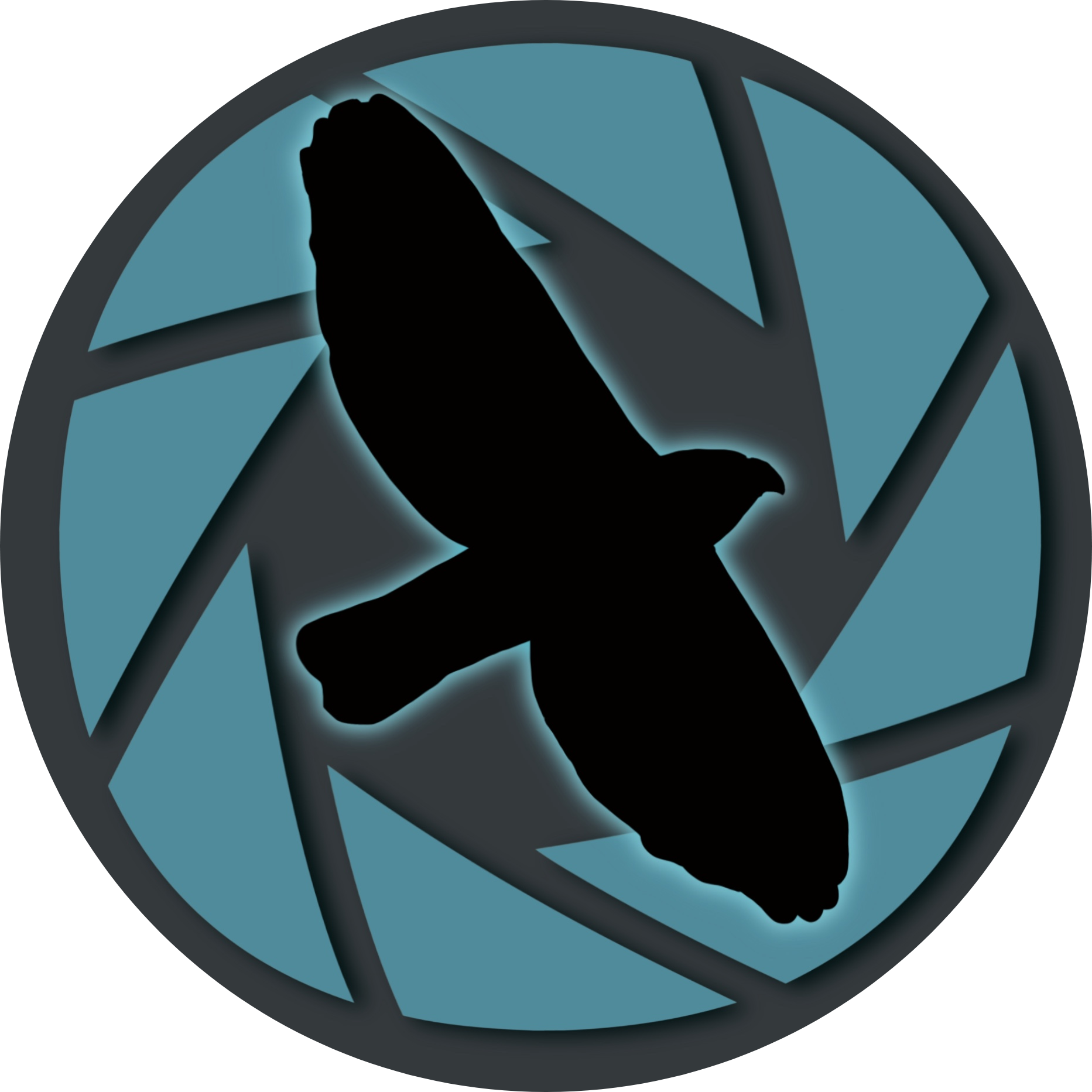 Silhouette of a bird flying with an aperture camera outline behind it