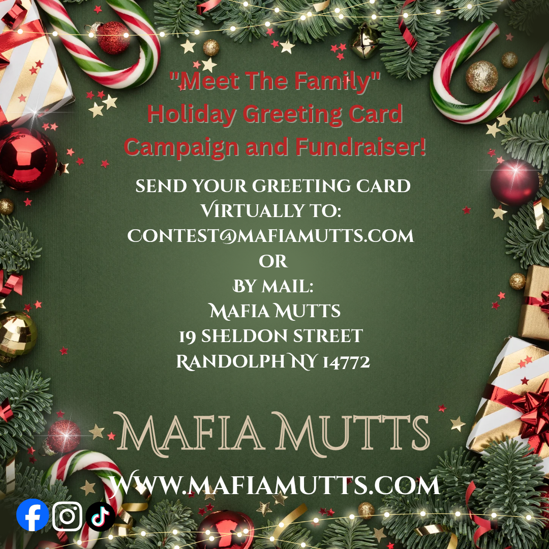 Mafia Mutts Holiday Greeting Card Instructions