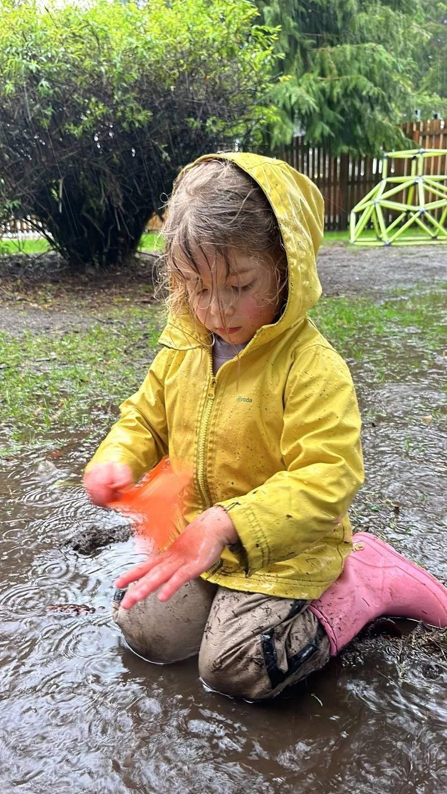 WhatsApp Image 2025-12-28 at 14.38.26 (3).jpeg