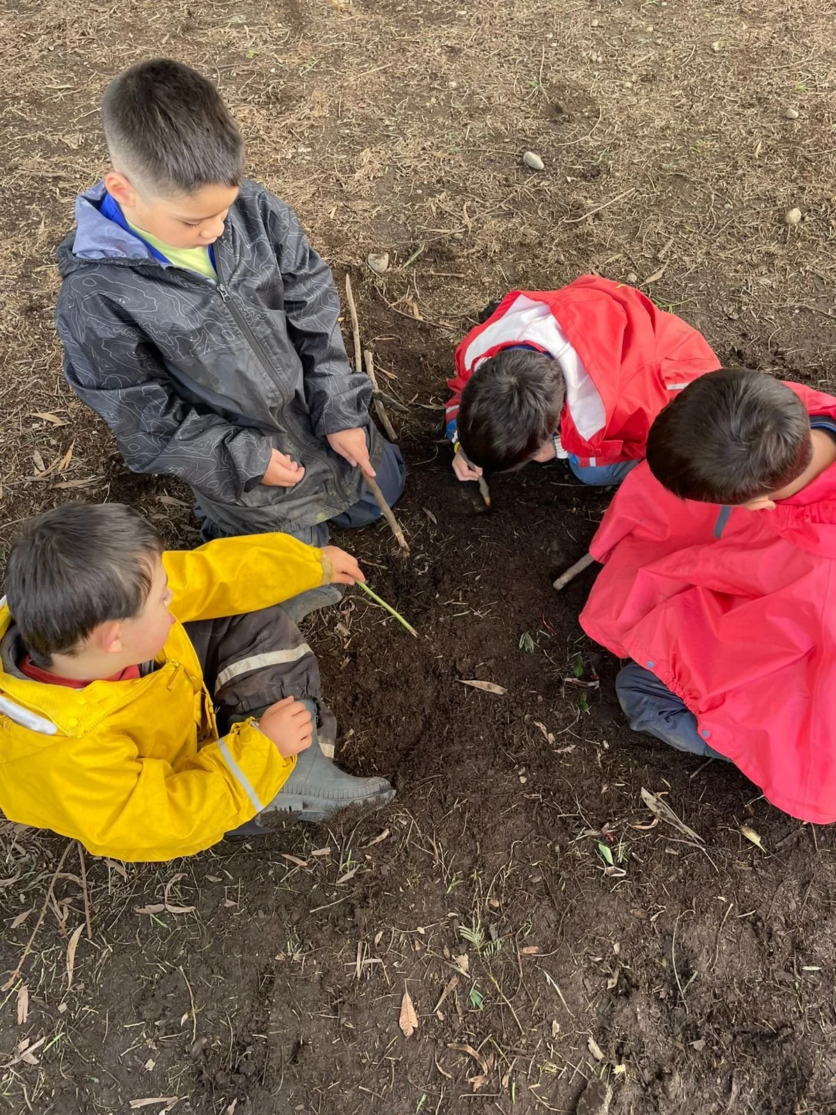 WhatsApp Image 2025-12-28 at 14.38.25 (1).jpeg