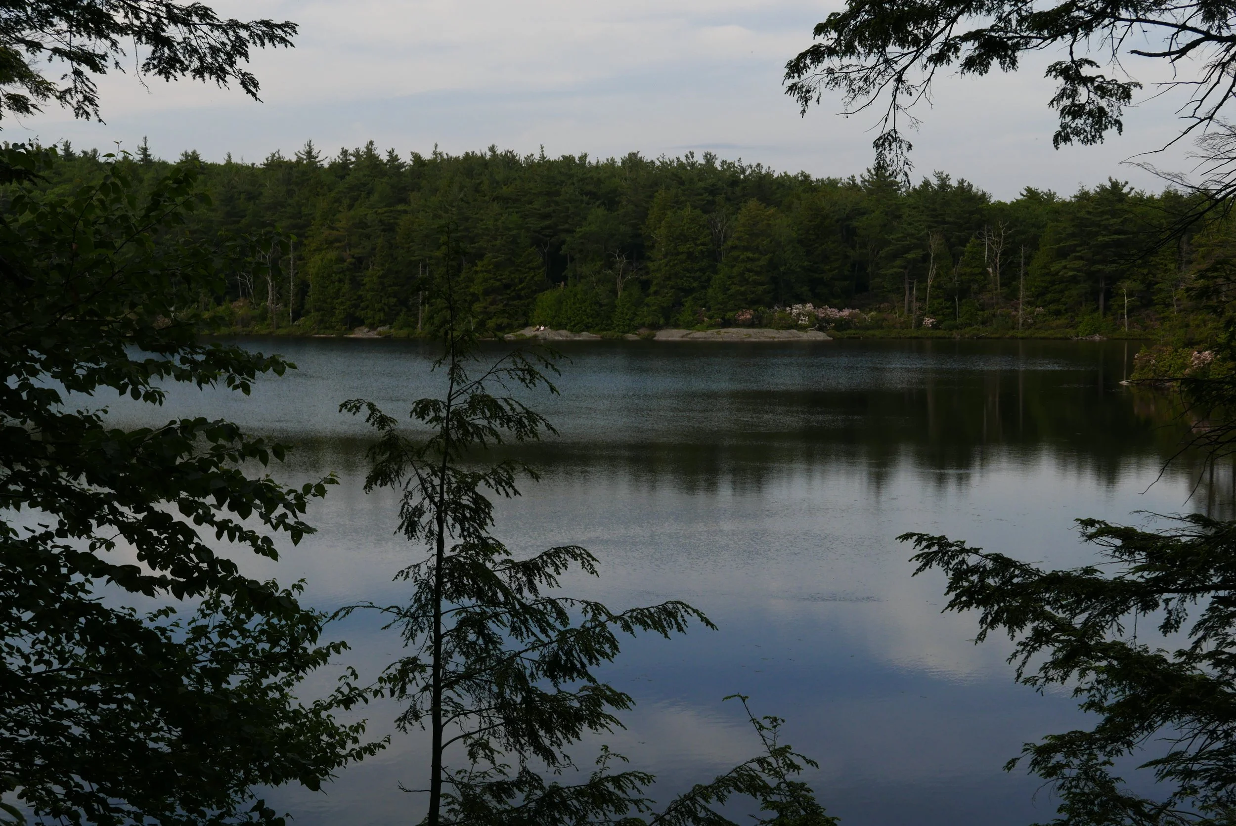 L1010791.JPG