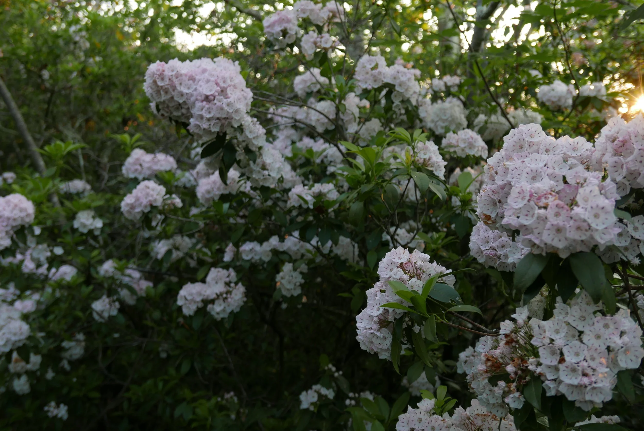 L1010742.JPG