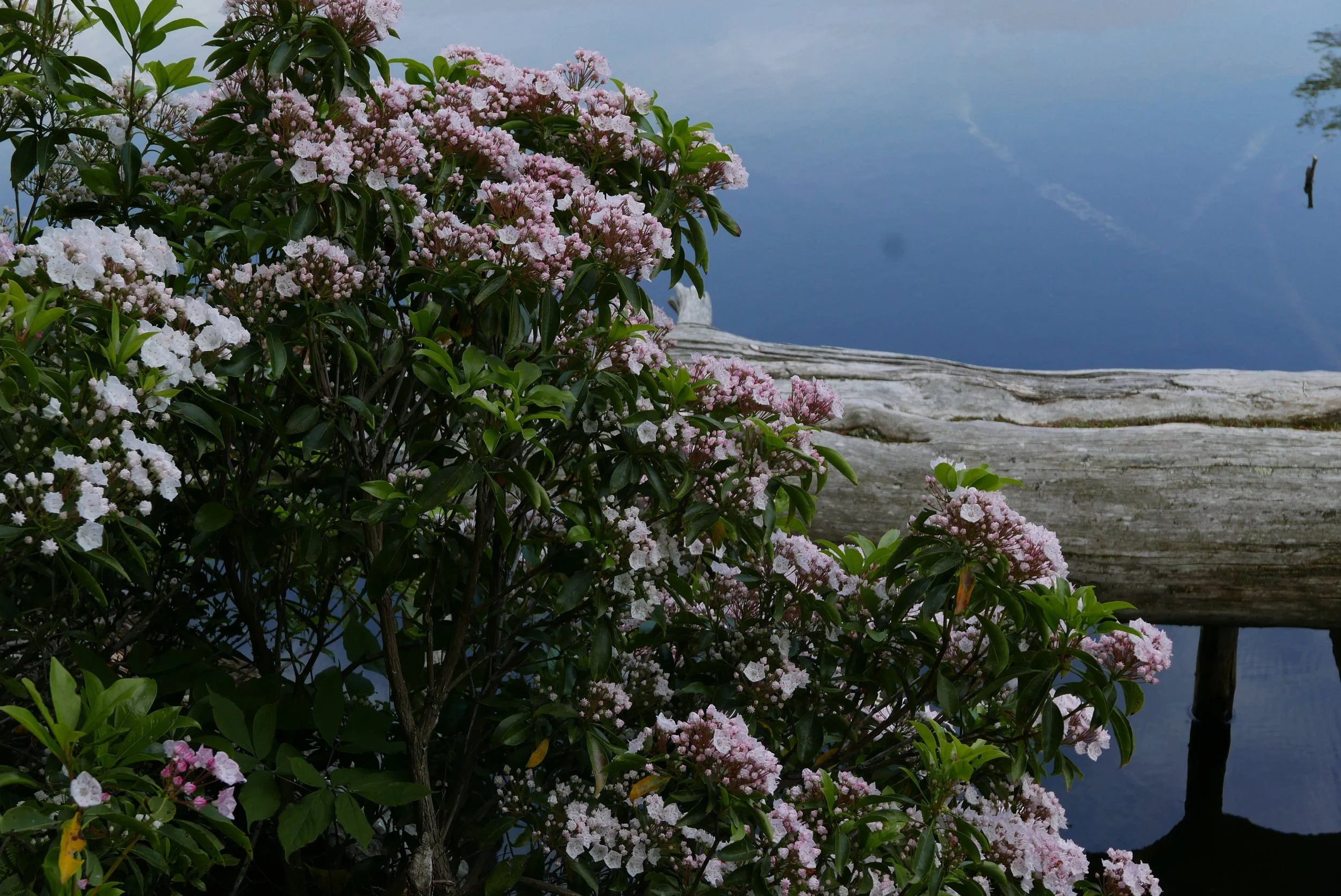L1010783.JPG