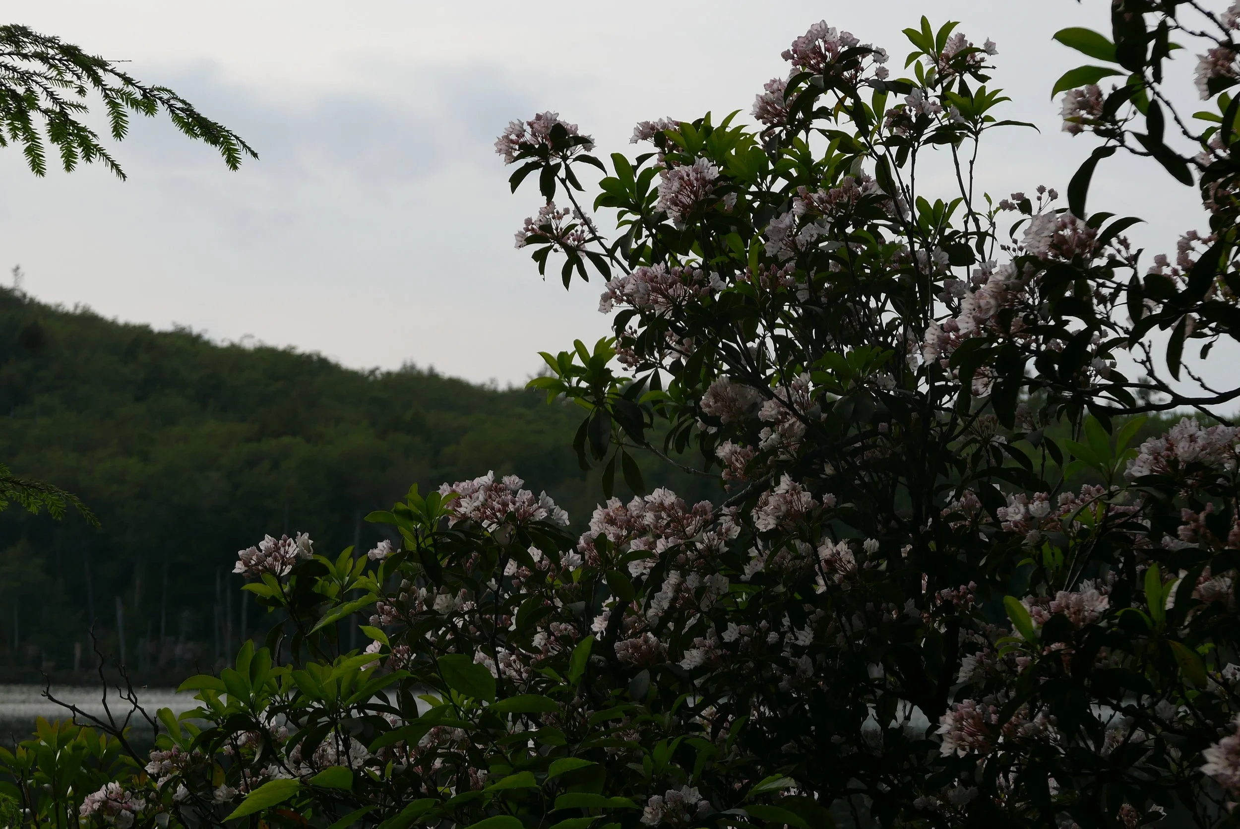 L1010805.JPG