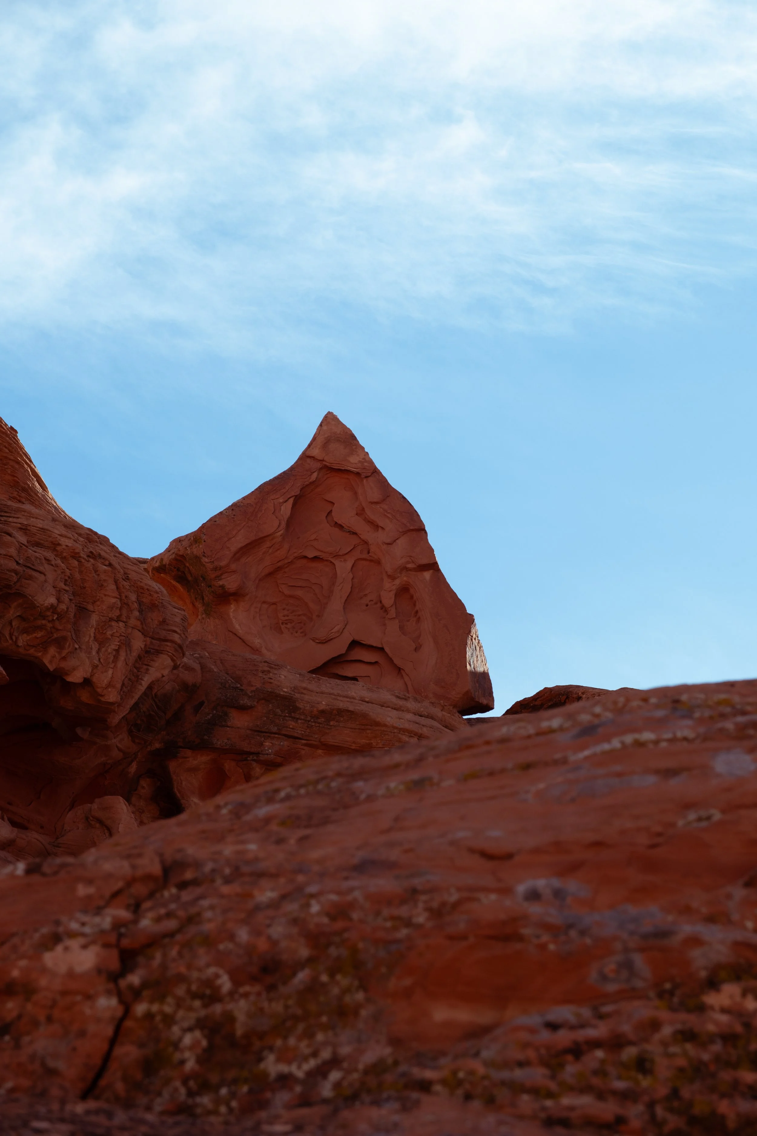 DSCF2117-2.jpg