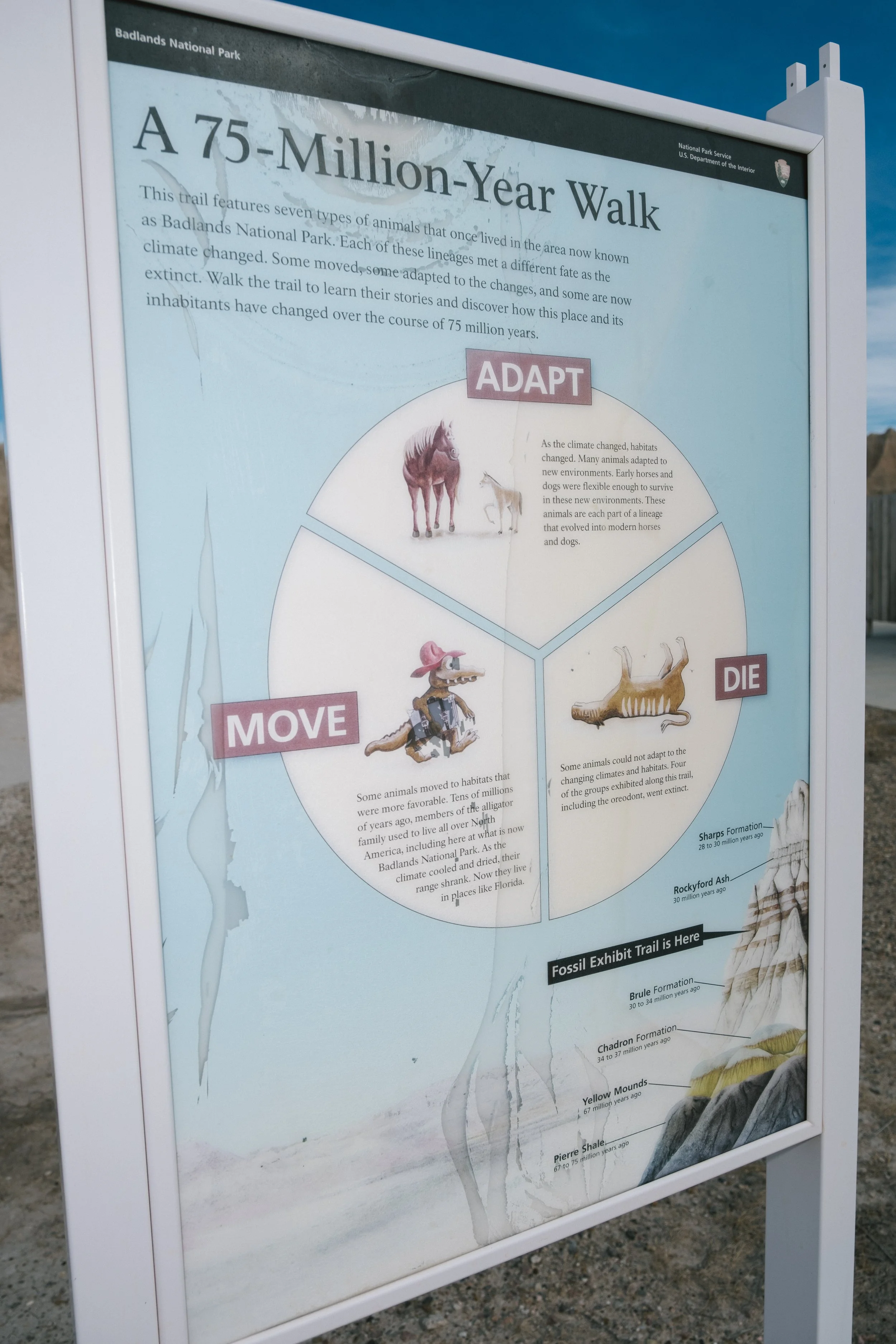 DSCF6593.jpg
