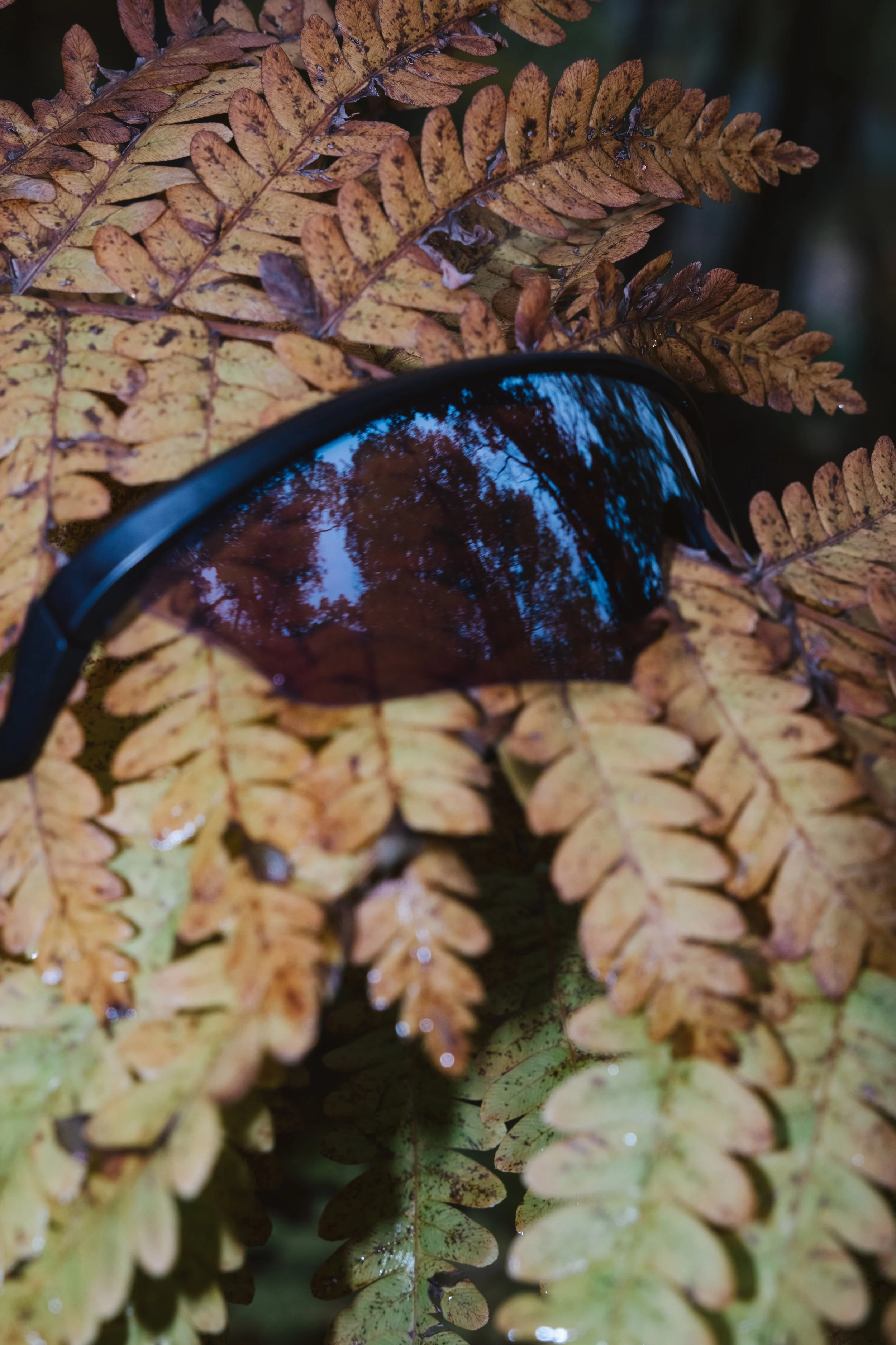 DSCF9816.jpg