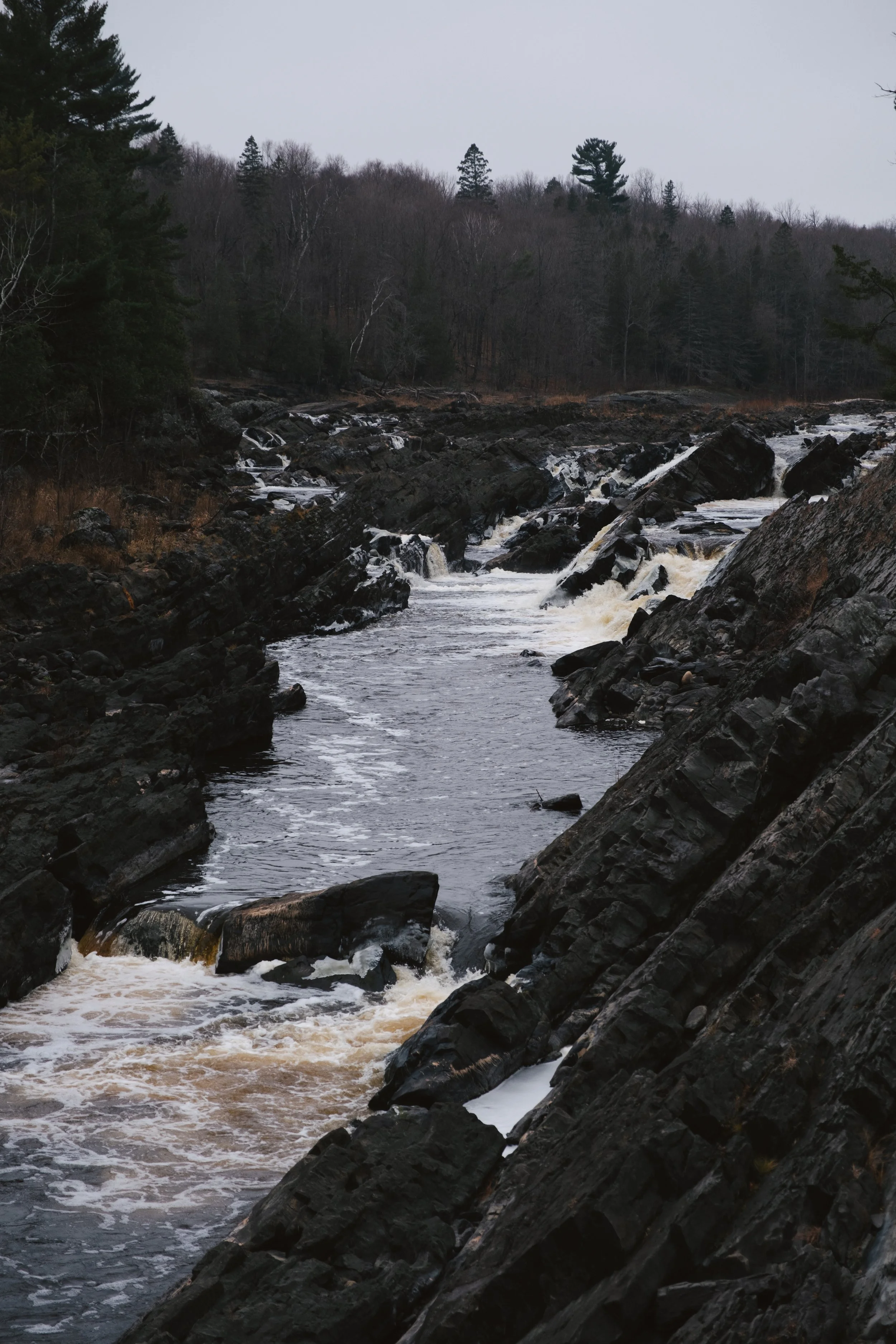 DSCF0663.jpg