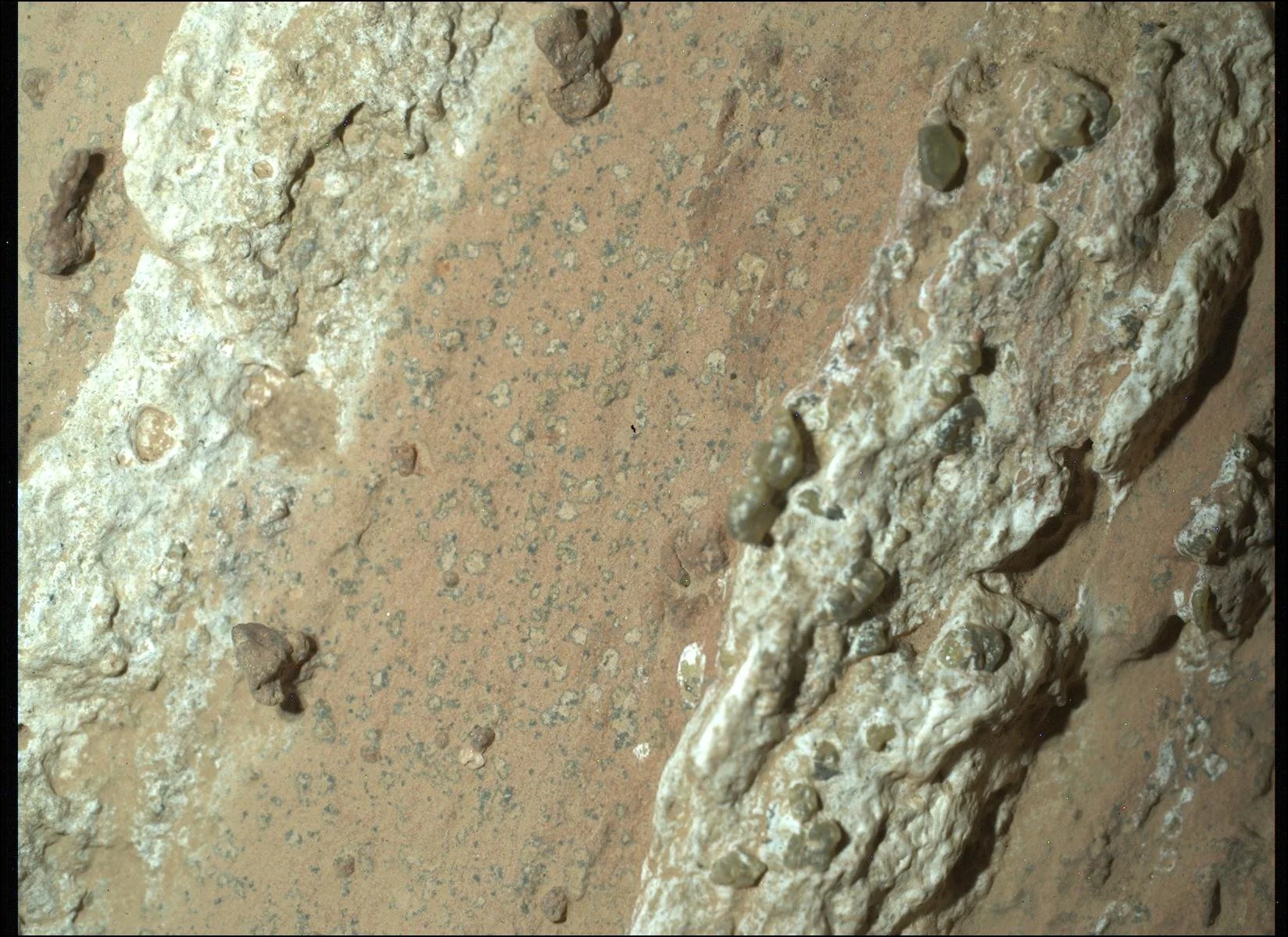 NASA Perseverance encuentra materia orgánica en Marte