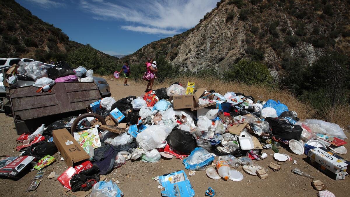 Garbage accumulation in a park