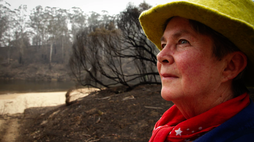 A woman with short hair wearing a yellow hat, red scarf, and blue jacket stands outdoors near a burnt landscape and lakeshore, looking into the distance.