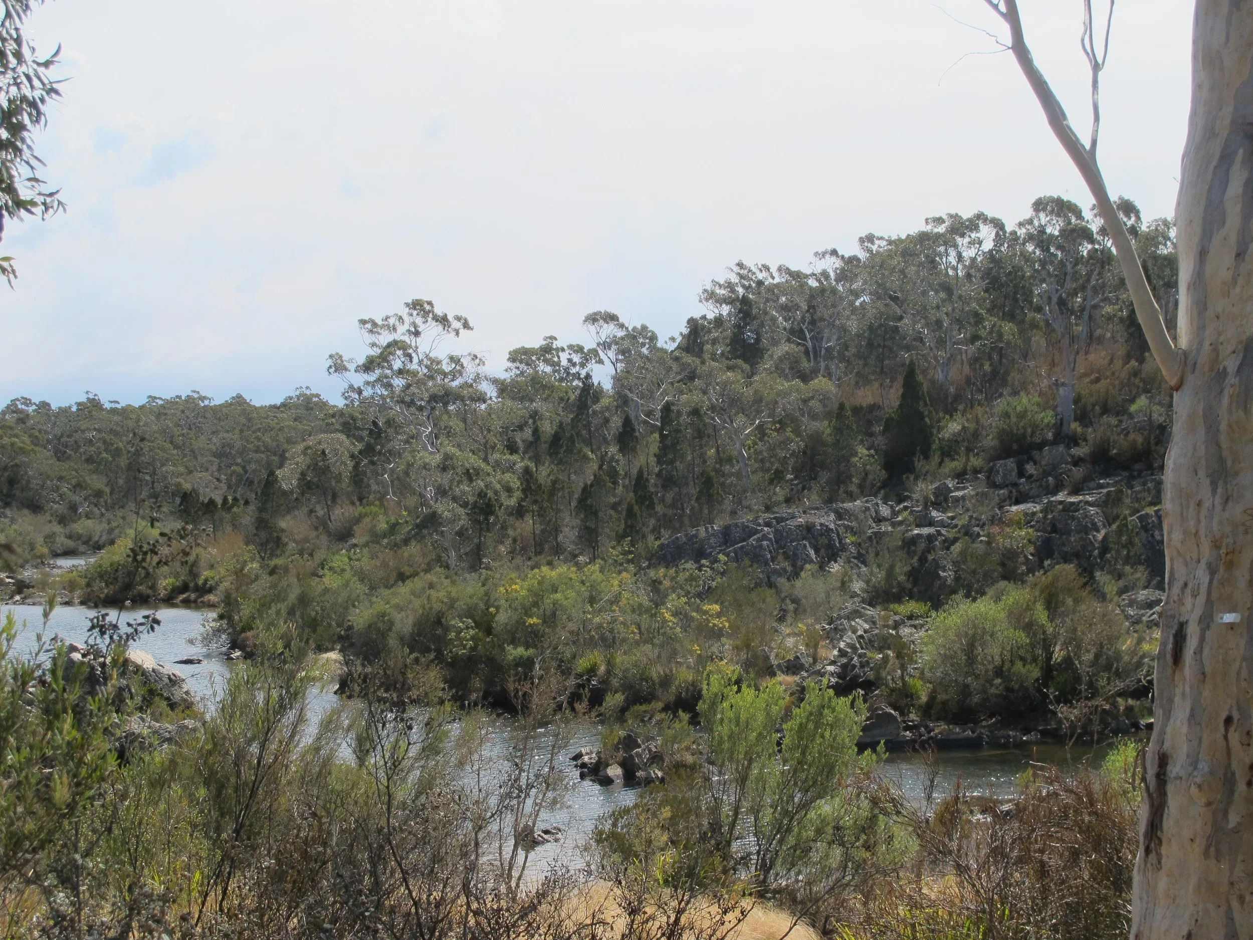 15. Bombay 1 copy 2.jpg