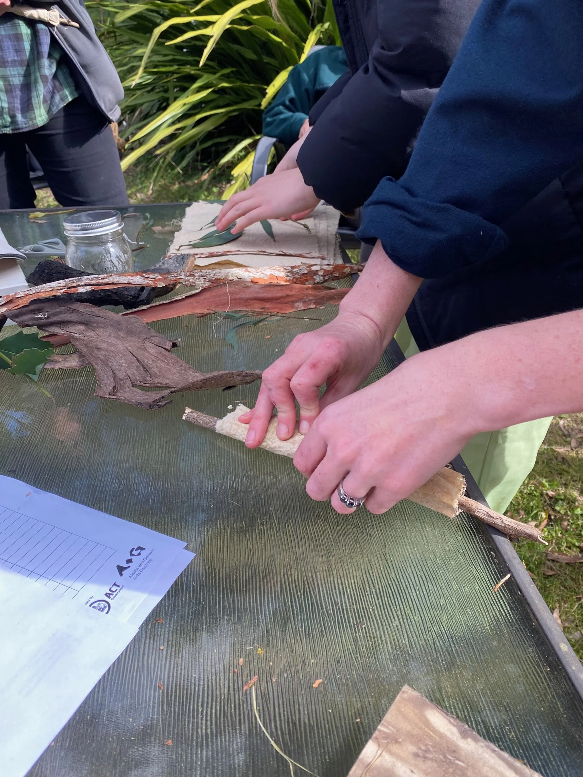 Plumwood ecodyeing.jpg