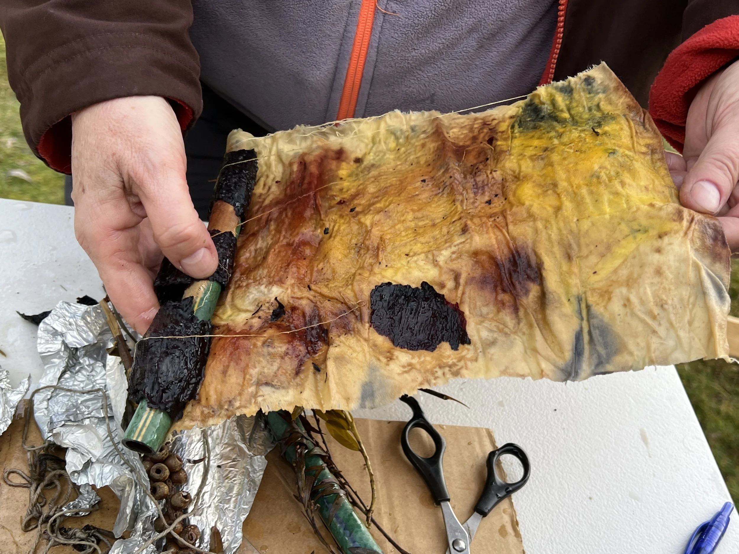 Geebung eco dyeing sample.JPG