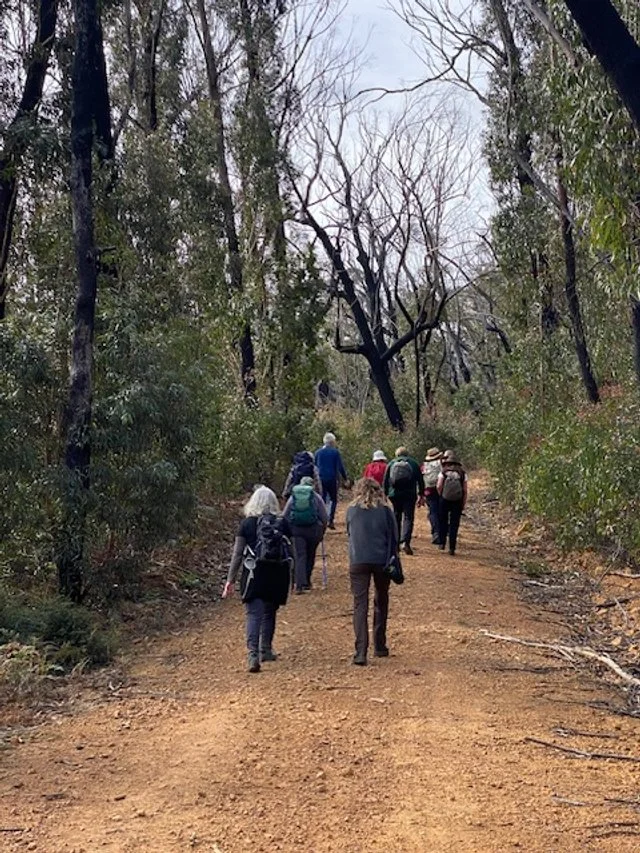 Up the mountain Old Araluen Road for video loop.jpg