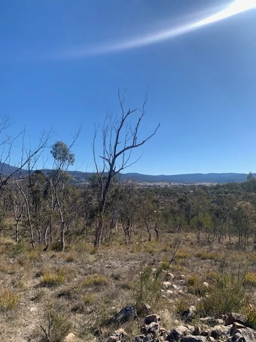 Dog Leg Farm July 2023.JPG