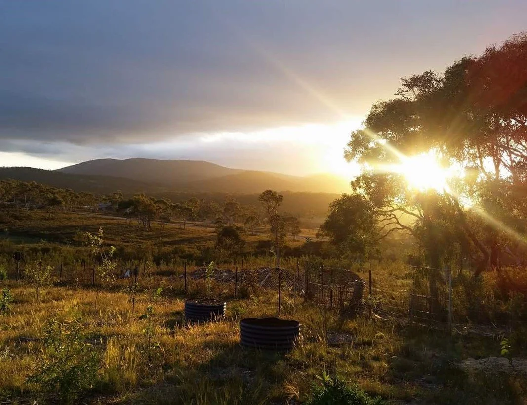 Dog Leg Farm Wonder Walk 4 splendor.jpg