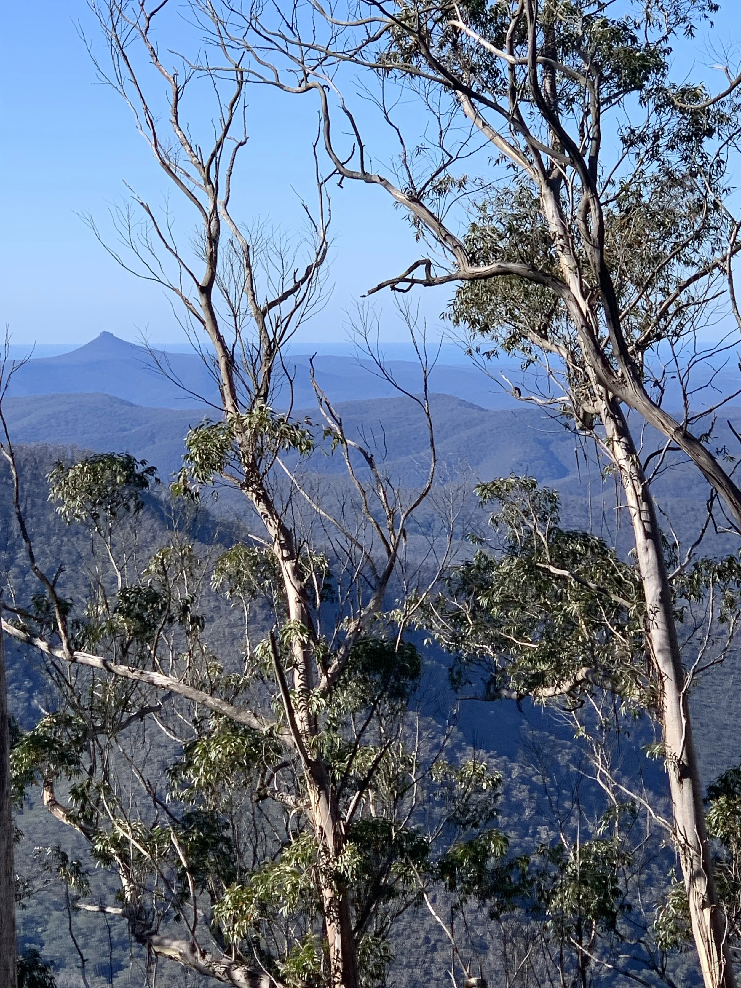 View from the top to Pigeon House.JPG
