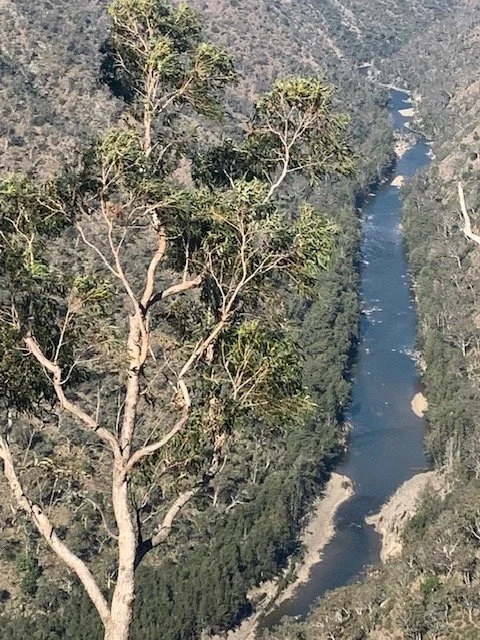 Above the Shoalhaven.jpg