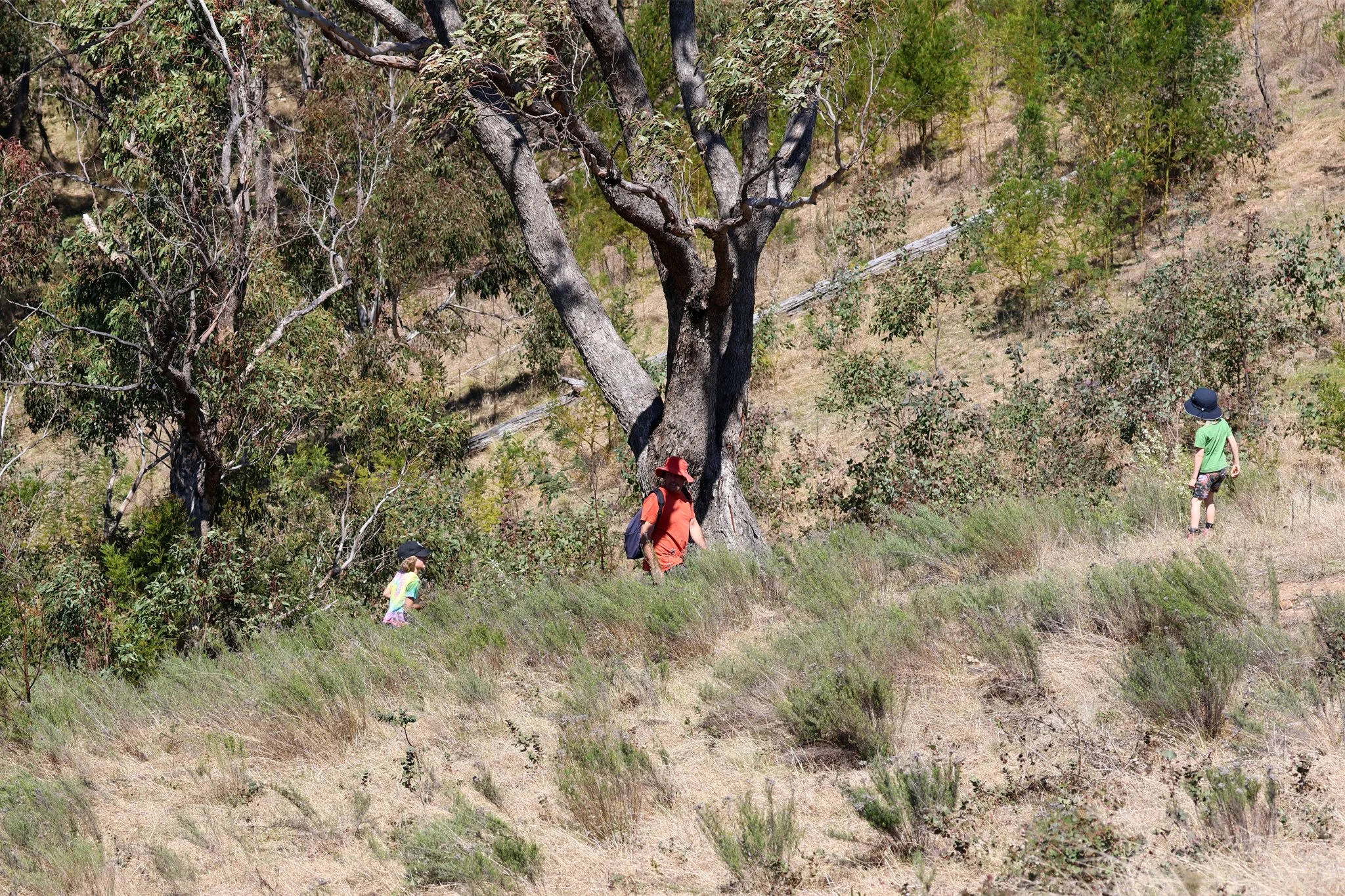 1 Worramunga WW4.jpg