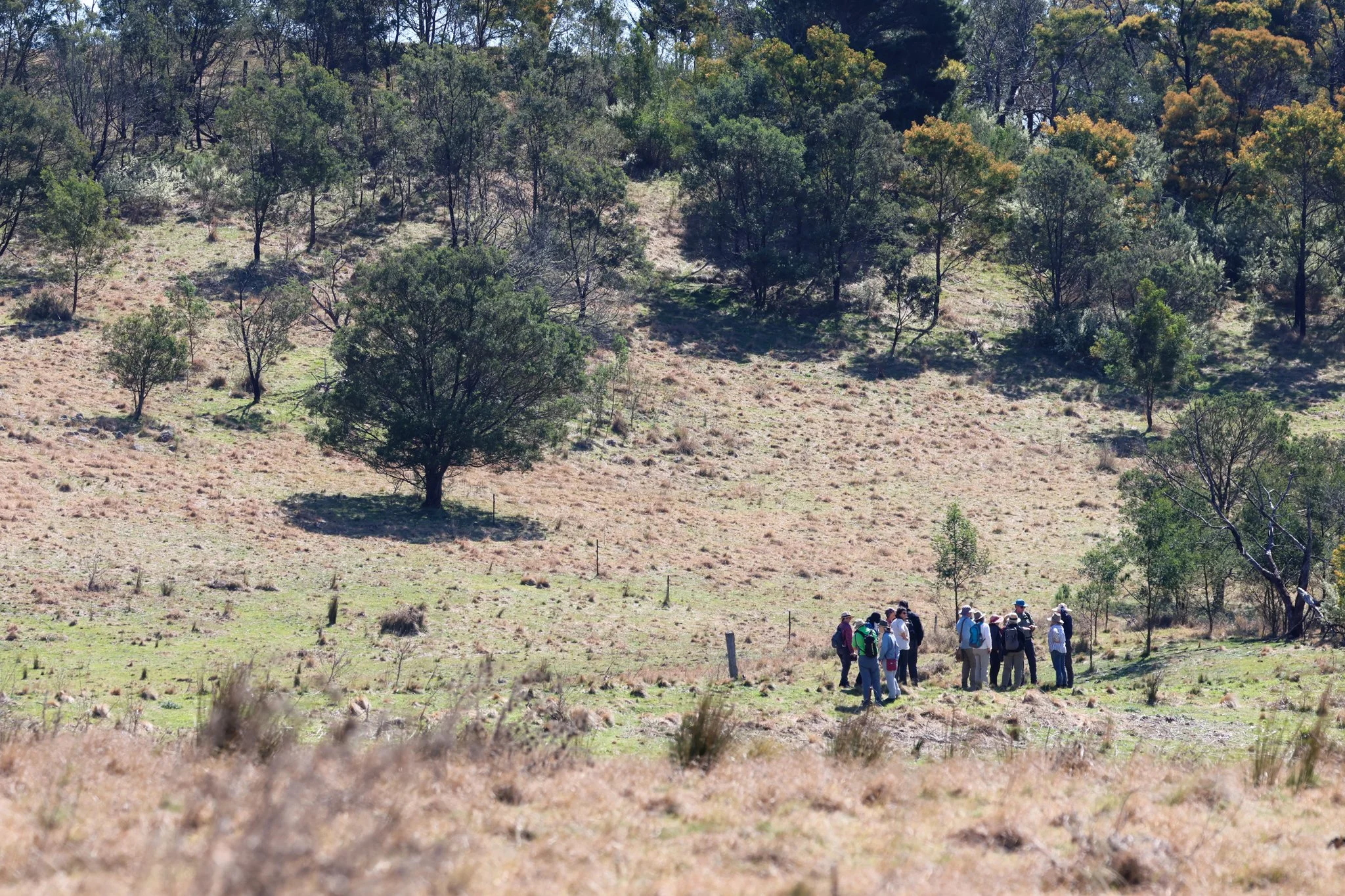 In the filed with Martin at Worramunga.jpg