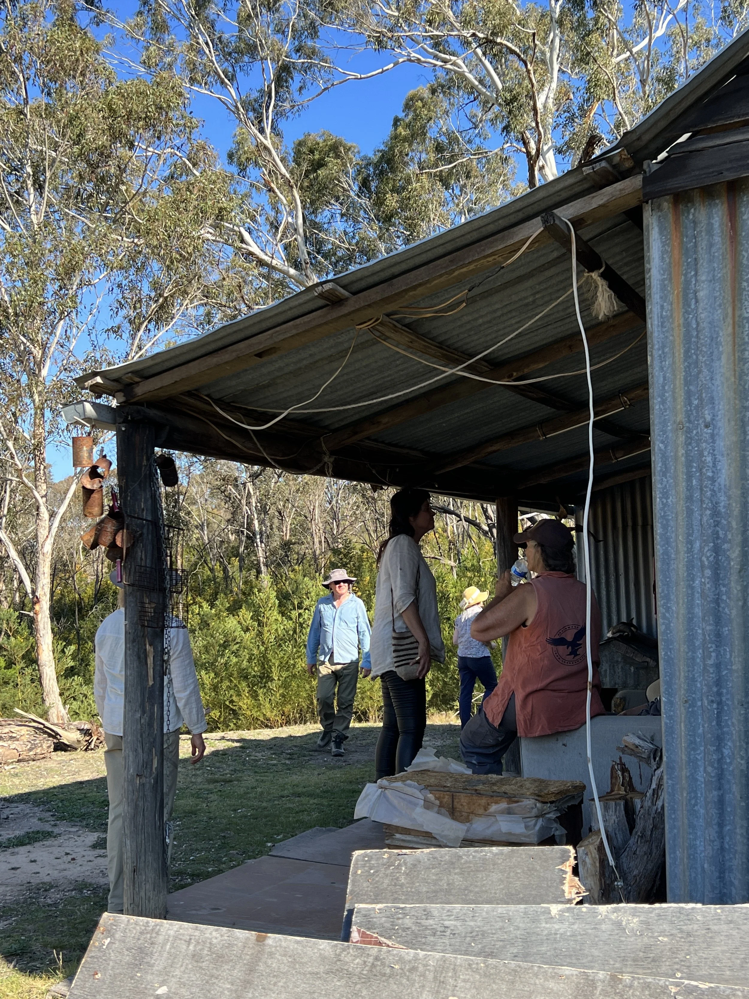 Old hut at Worramunga.JPG