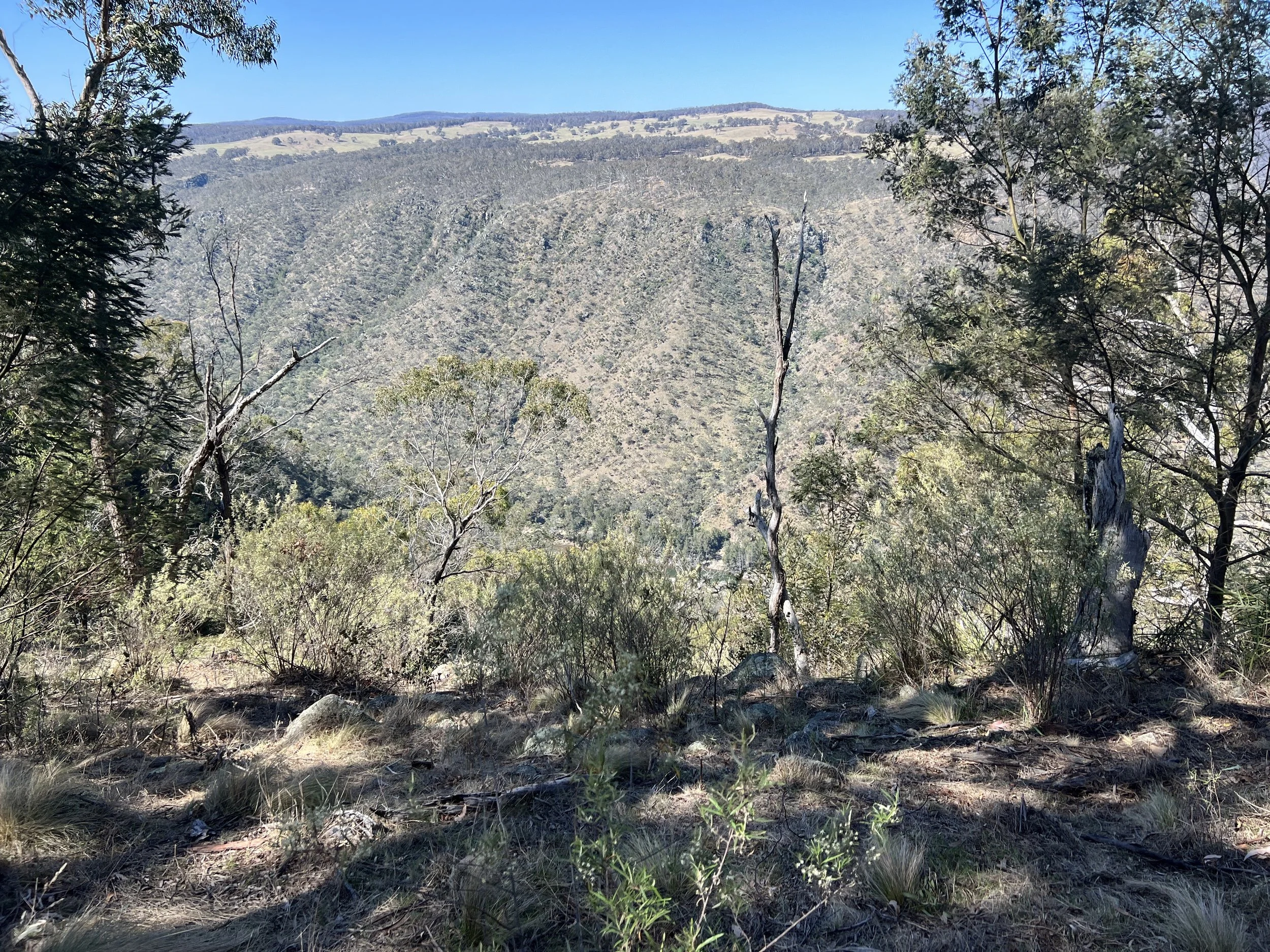 Overlooking the gorge.JPG