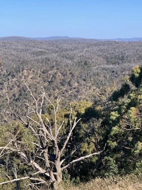 Shoalhaven Gorge WW 4.JPG