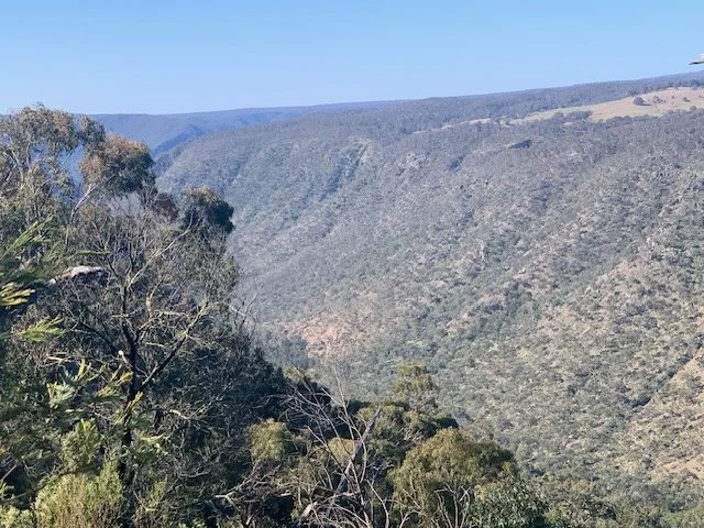 Shoalhaven Gorge WW4 Worramunga.JPG
