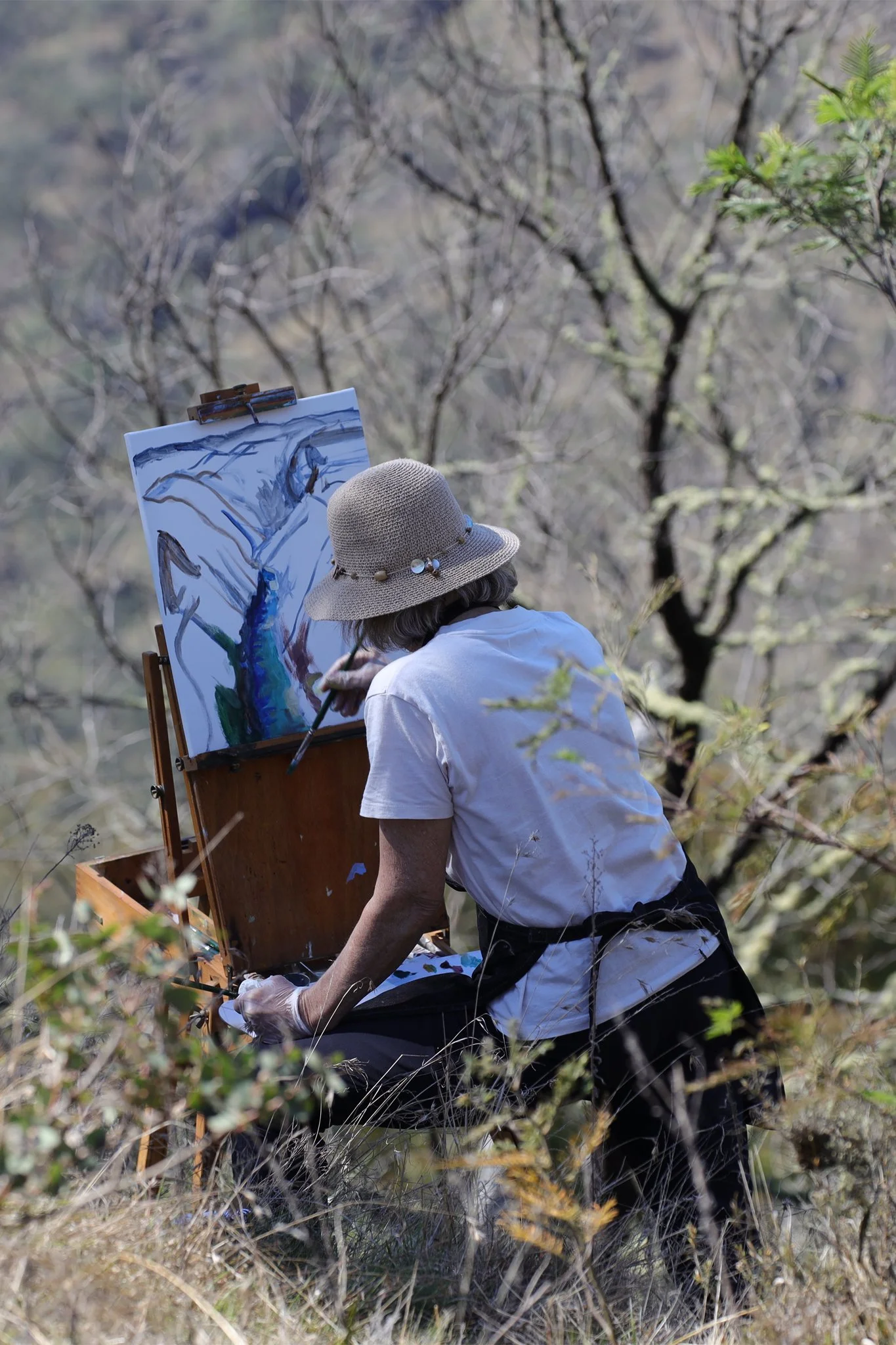Sue Cox plein air Worramunga for video loop.jpg