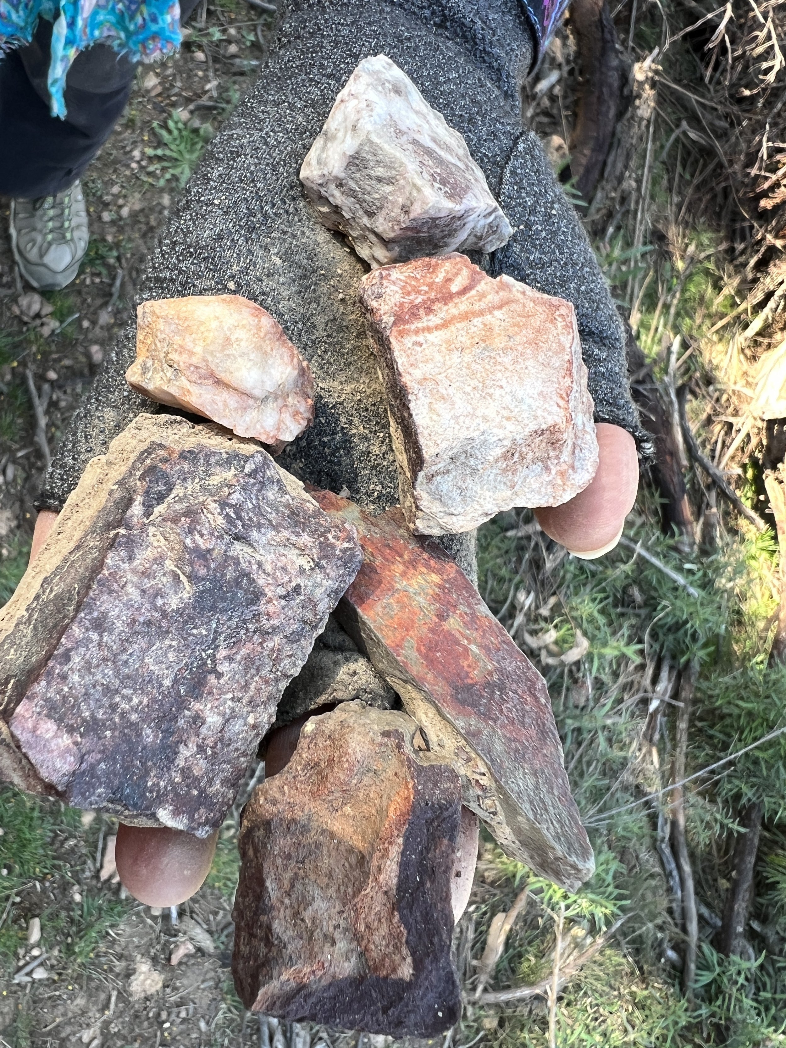 textures and rocks Worramunga.JPG