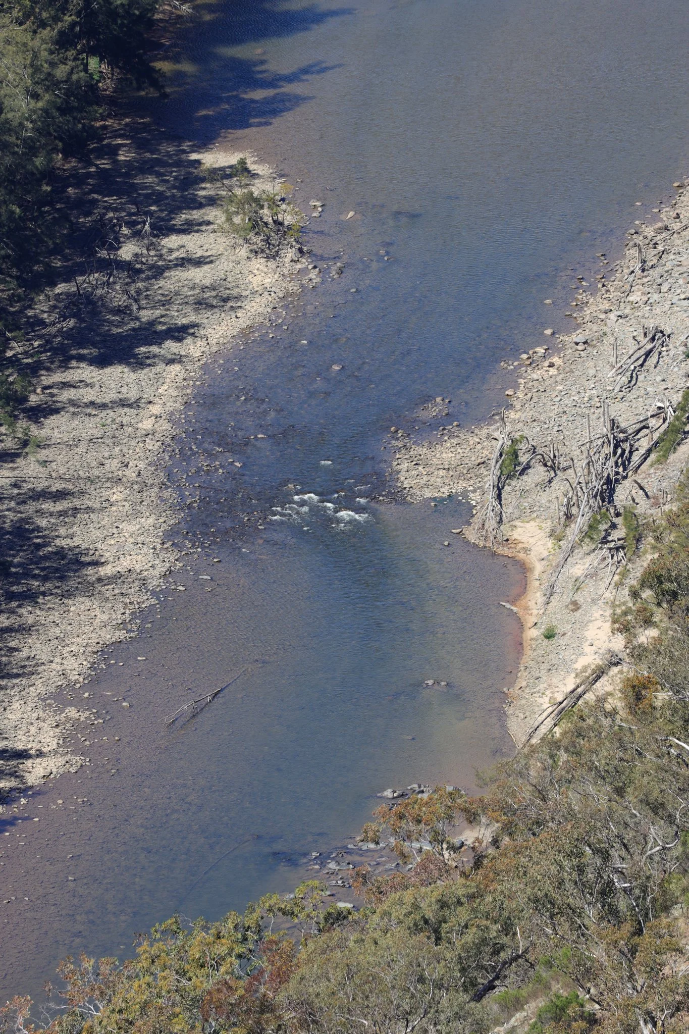 The Shoalhaven at Worramunga.jpg