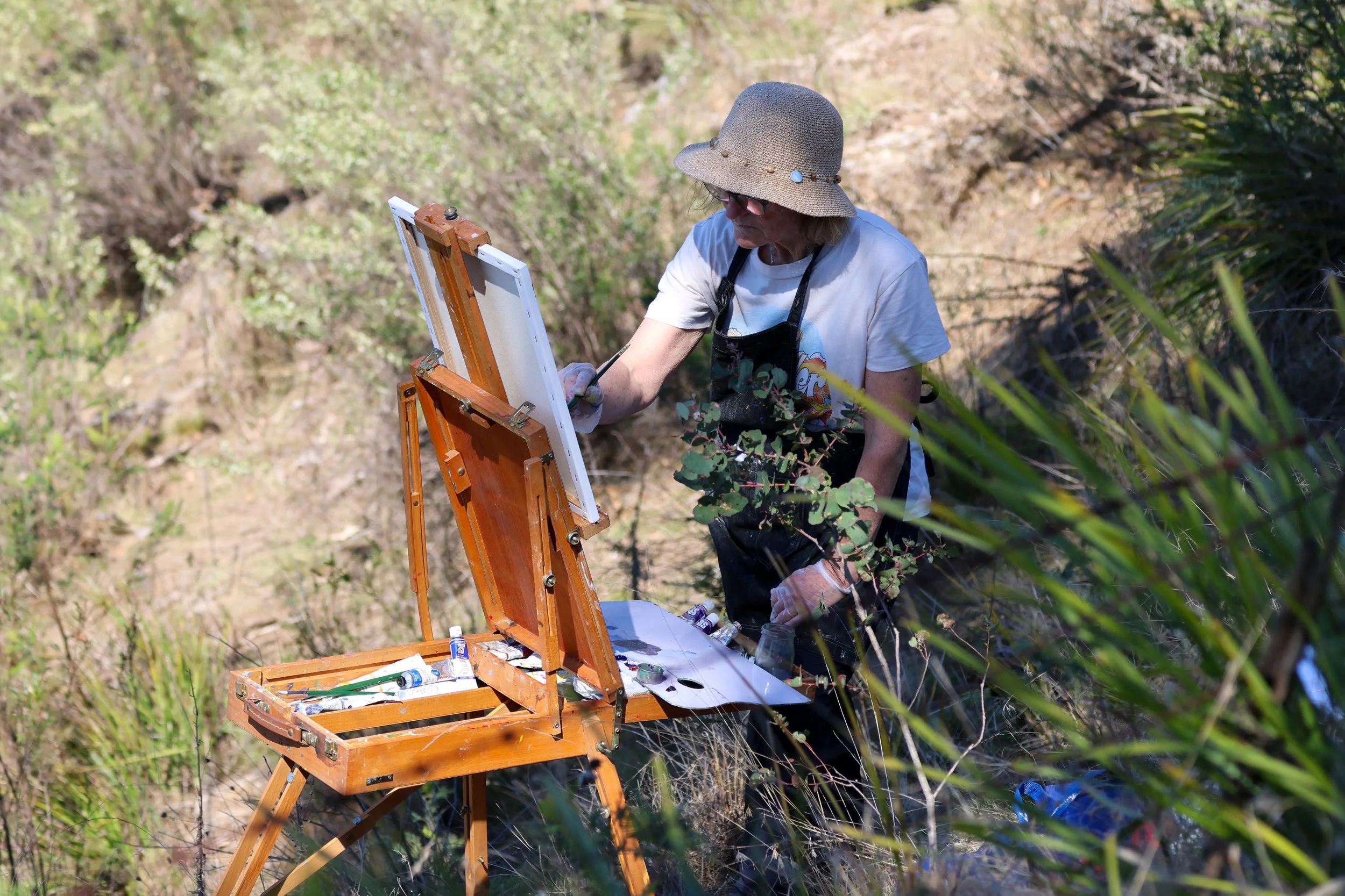 Sue Cox painting plein air Worramunga.jpg