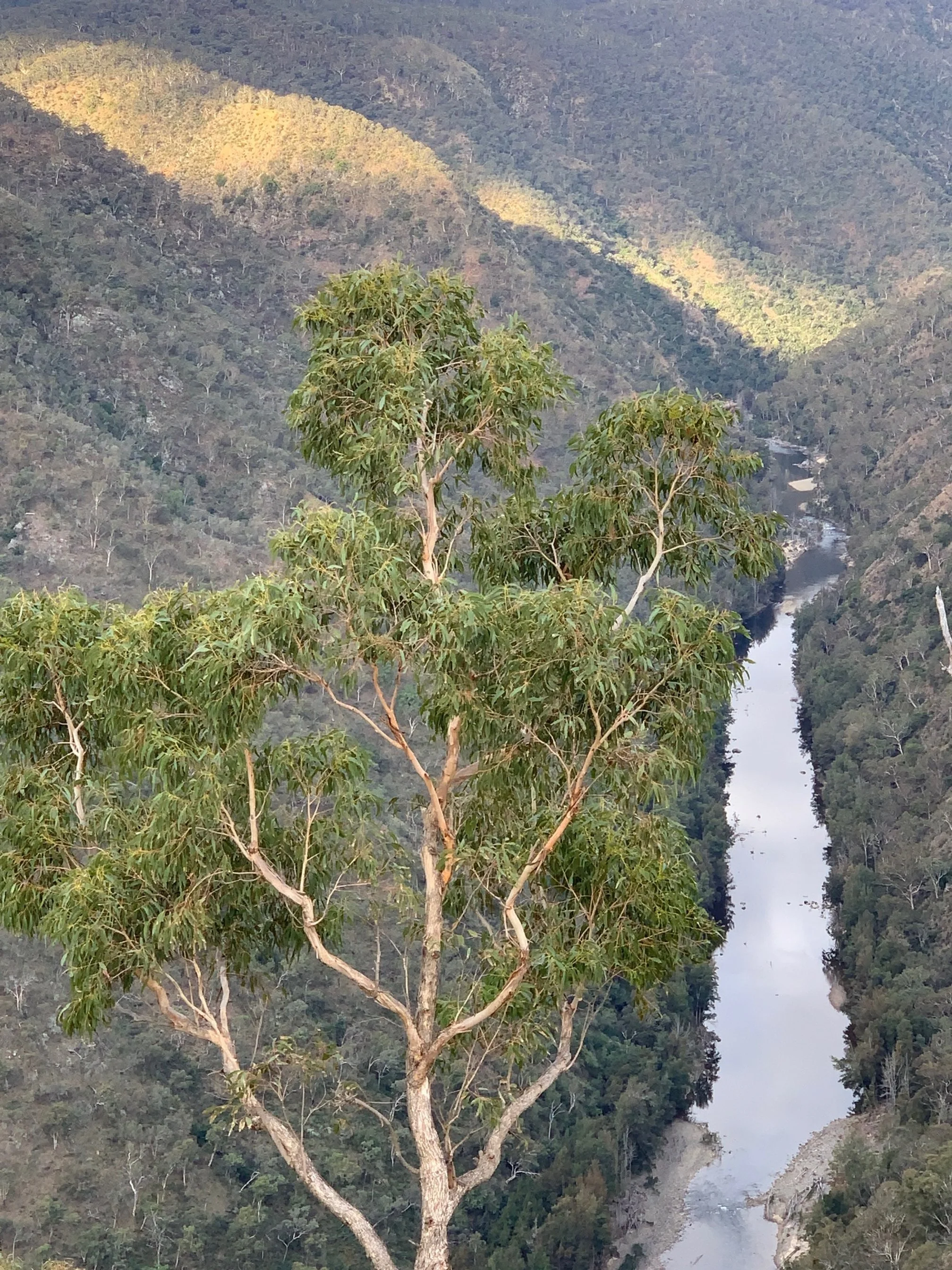 Windellama 1 (1).JPG