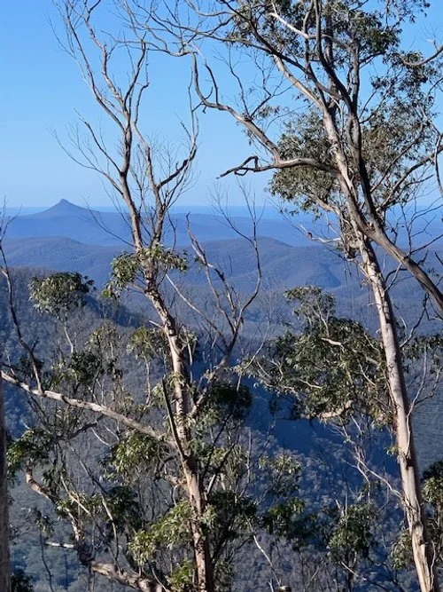 5 view from Currajuggle Ridge.JPG