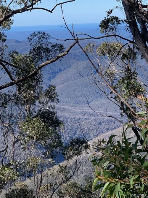 6 View from Currajuggle Ridge.JPG