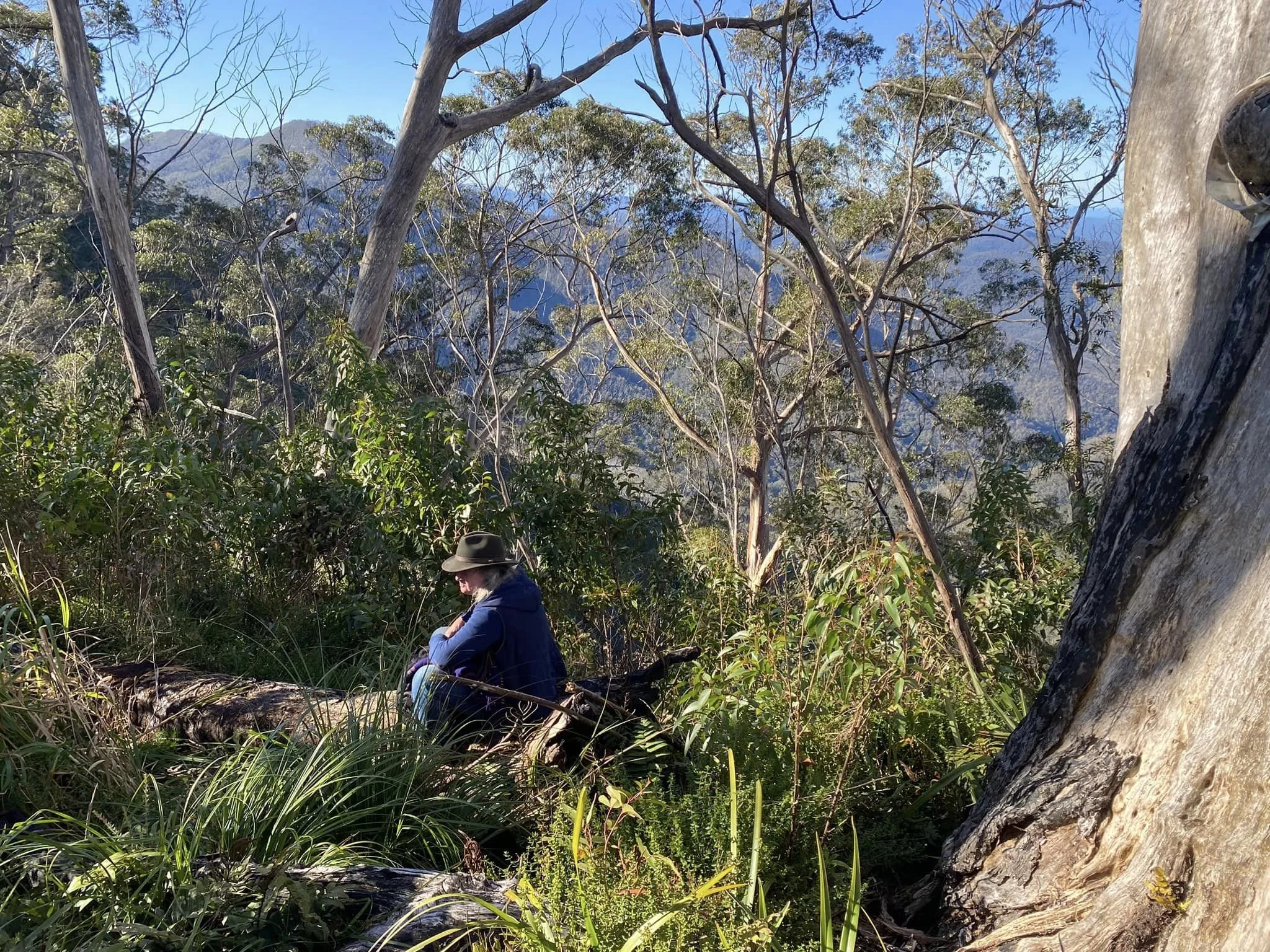 Cecile overlooking Budawang.jpg