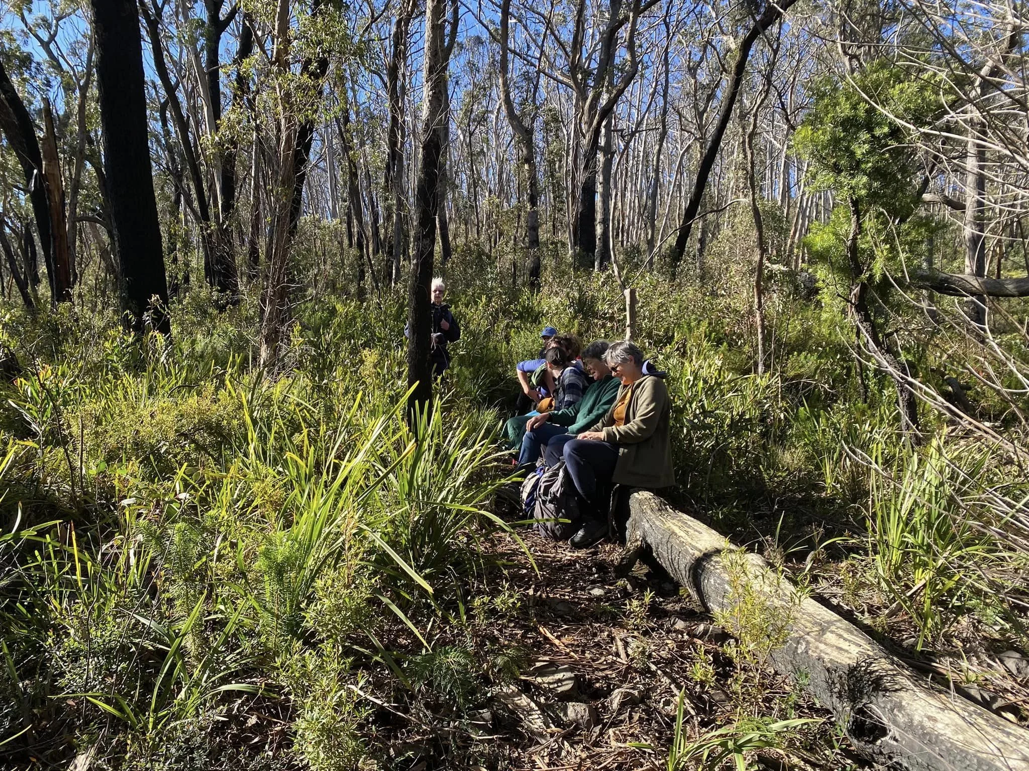 'midway break climbing to budawang summit.jpg