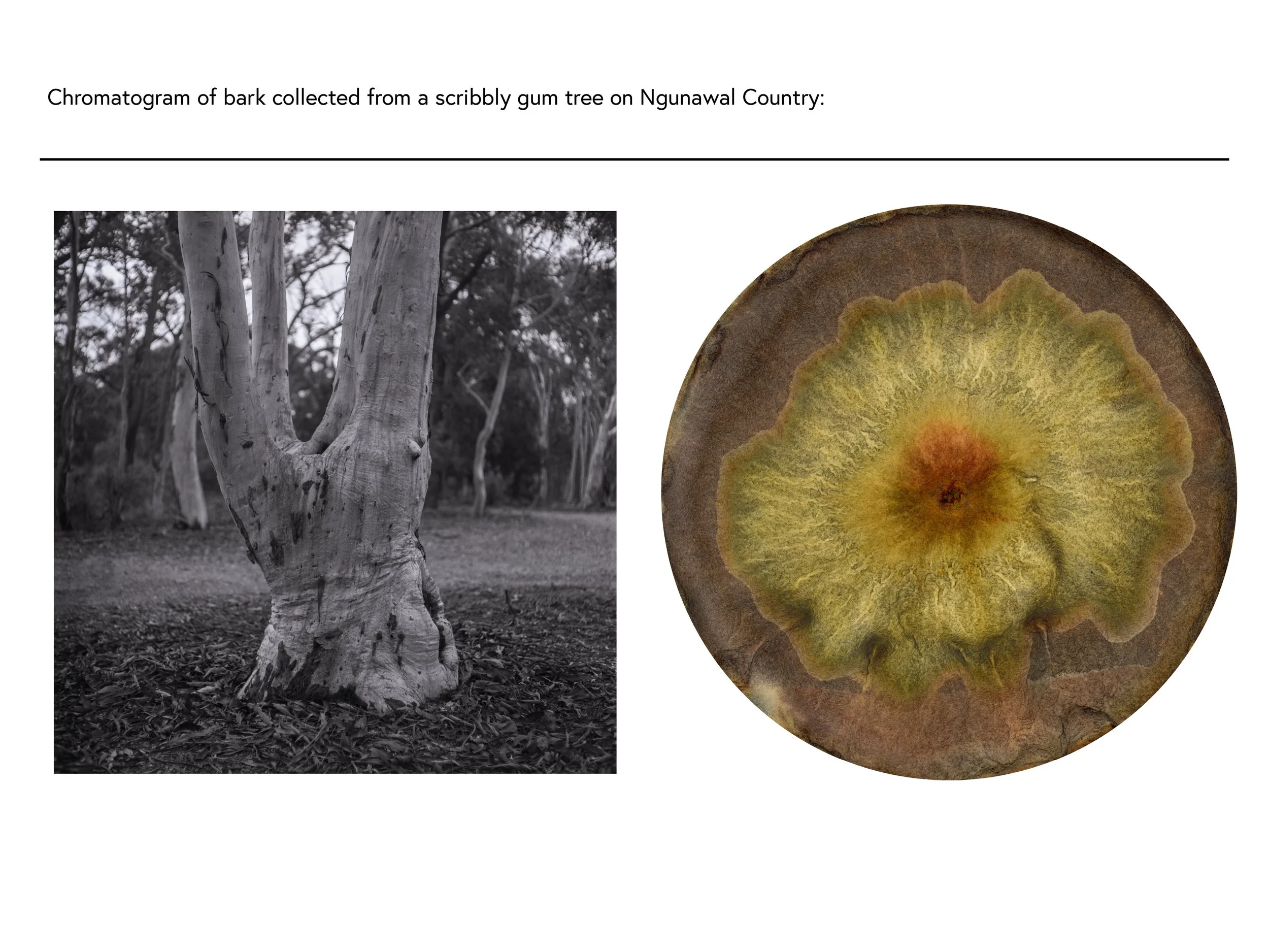 Chromatography Workshop _ Sammy Hawker-3.jpg