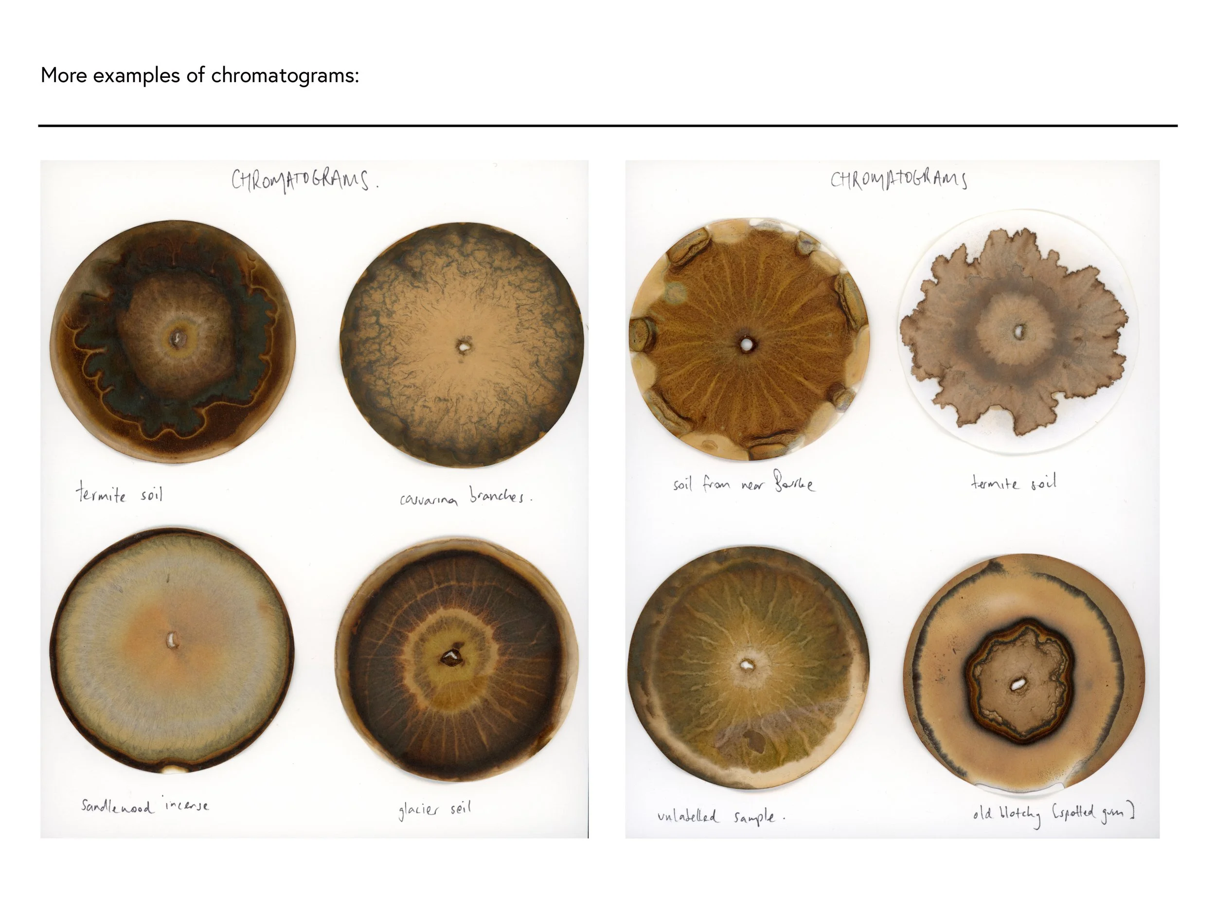 Chromatography Workshop _ Sammy Hawker-4.jpg