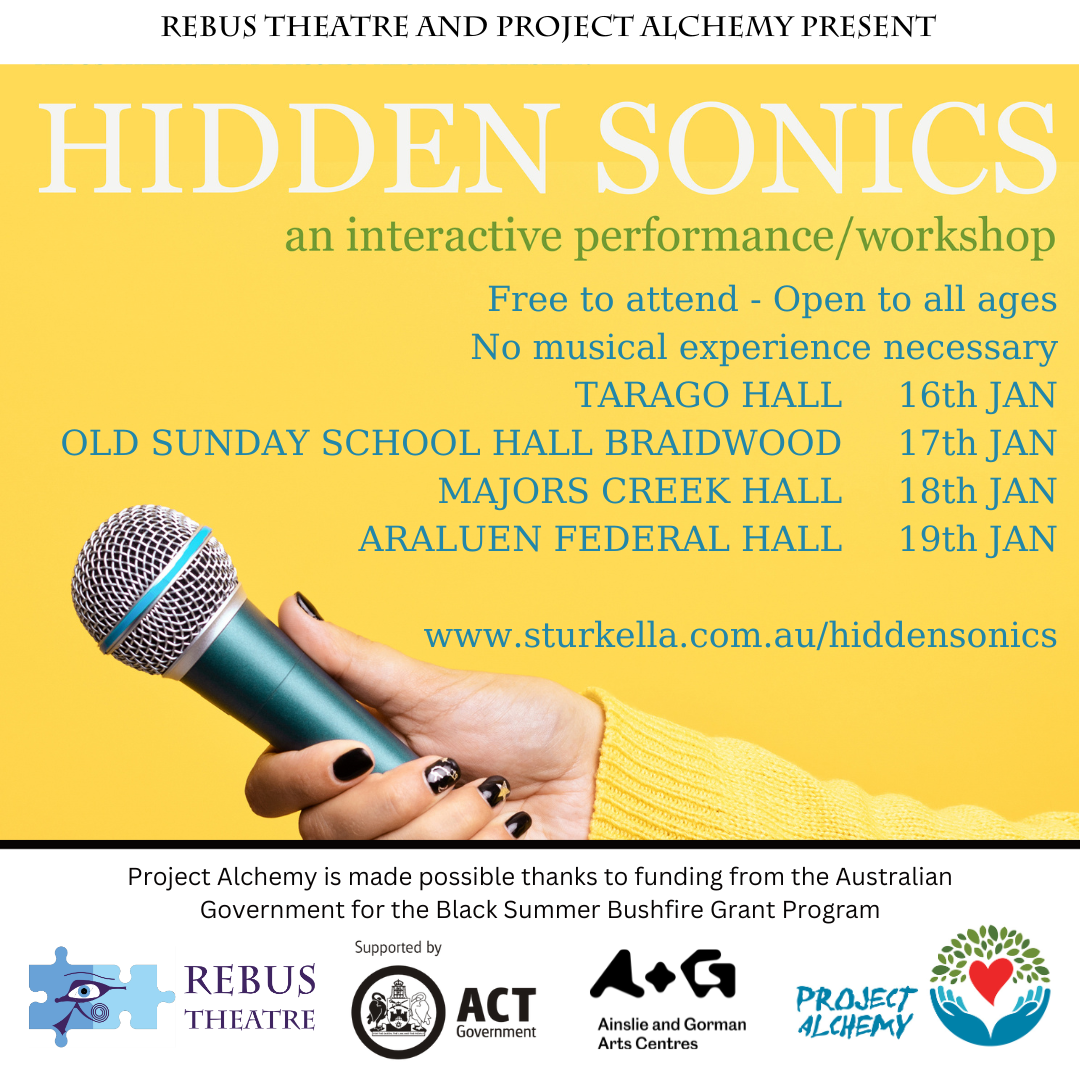 Poster for 'Hidden Sonics,' an interactive performance/workshop by Rebus Theatre and Project Alchemy, scheduled at various halls from January 16th to 19th, free to attend, no musical experience necessary, with a website link and logos of supporting organizations.