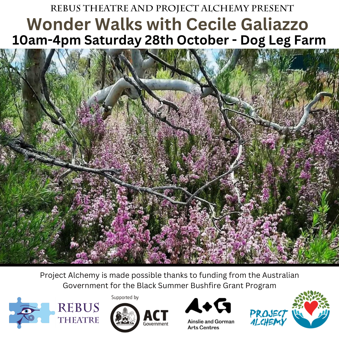 Event poster for 'Wonder Walks with Cecile Galiazzo' on Saturday, October 28, from 10 am to 4 pm at Dog Leg Farm. The background displays a garden with pink and purple flowers, trees, and branches.