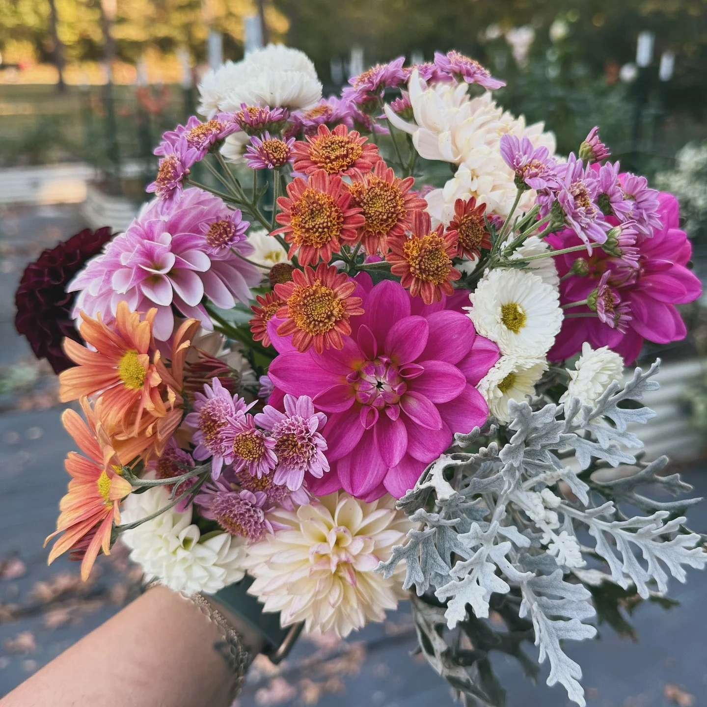 Mama, can I pick flowers too? The sweetest words I&rsquo;ll never get tired of hearing. 🌸💕

#flowers #dahlias #mums #mama #momma #motherdaughter #garden #blooming #together #gentle #goldenhour #healing #joy #charlotte #nc